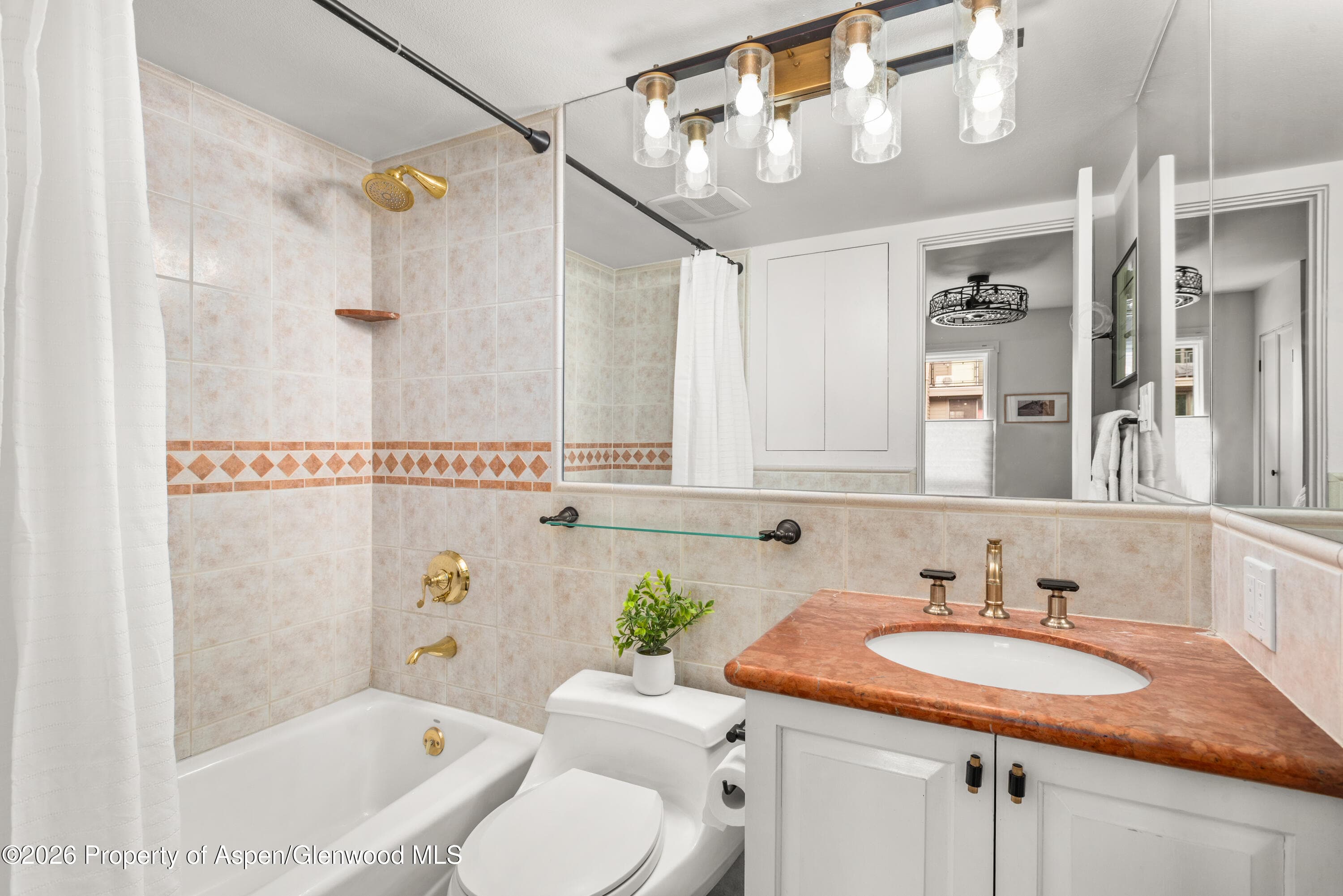 250 S Original Street D, Aspen, CO 81611 - Photo 5