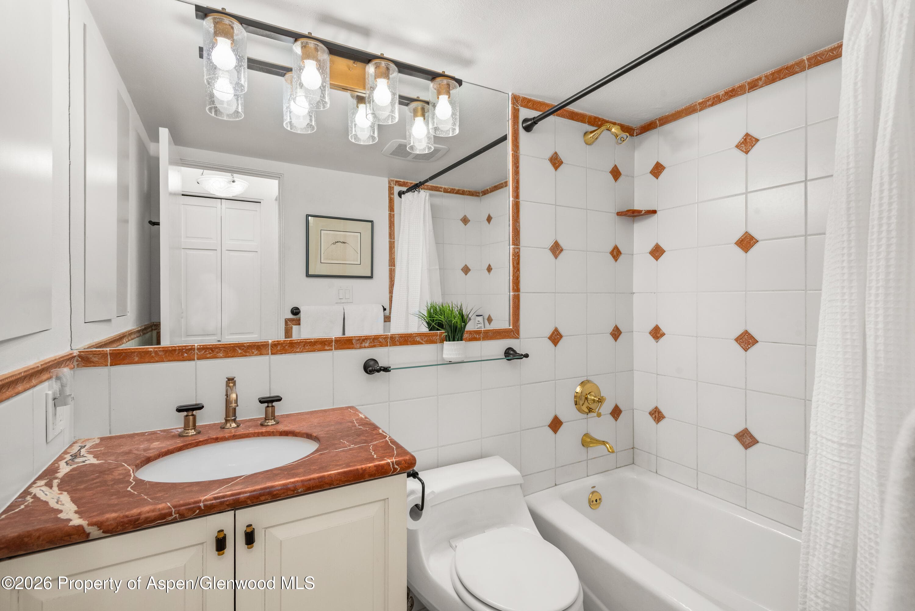 250 S Original Street D, Aspen, CO 81611 - Photo 7
