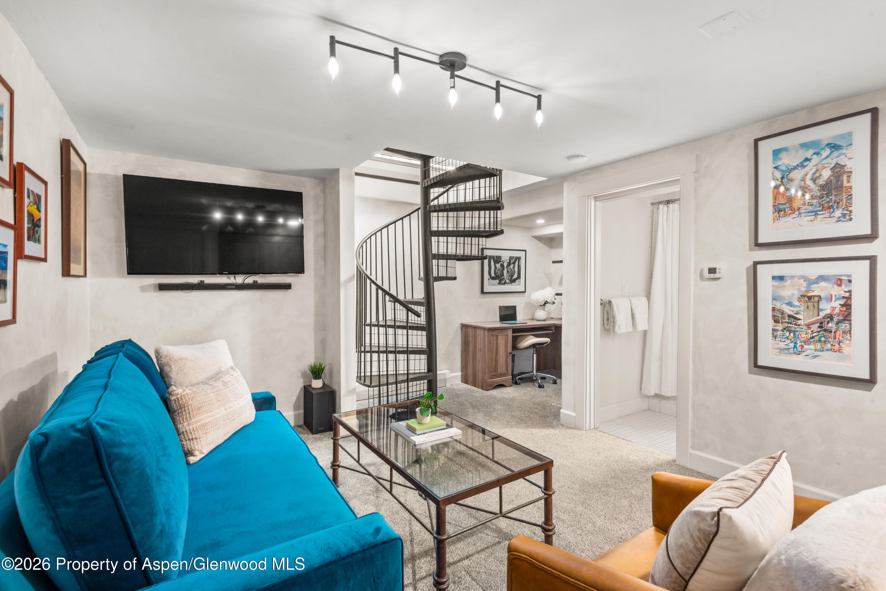 250 S Original Street D, Aspen, CO 81611 - Photo 8