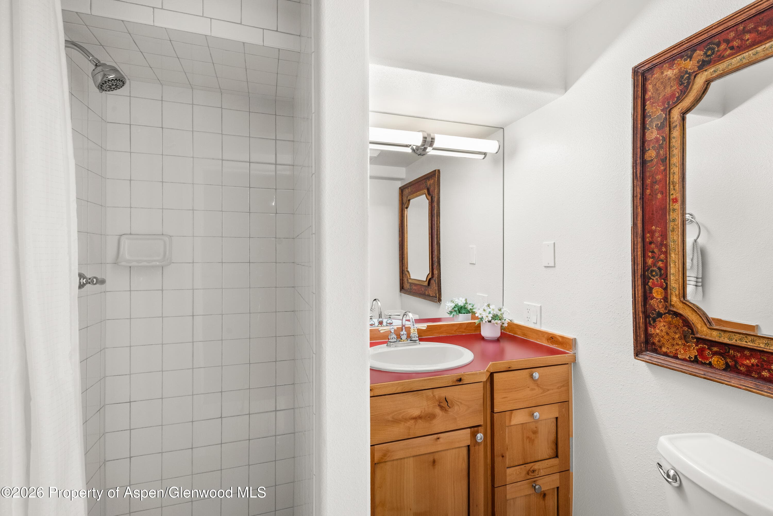 250 S Original Street D, Aspen, CO 81611 - Photo 9