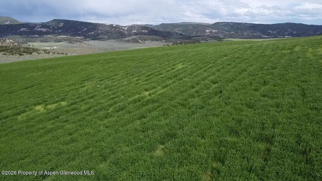 Tbd Cr 7, Meeker, CO 81641 - Photo 11