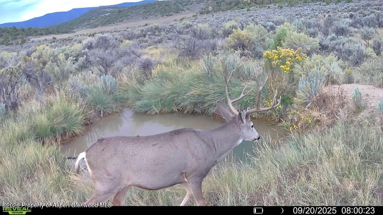 Tbd Cr 7, Meeker, CO 81641 - Photo 30