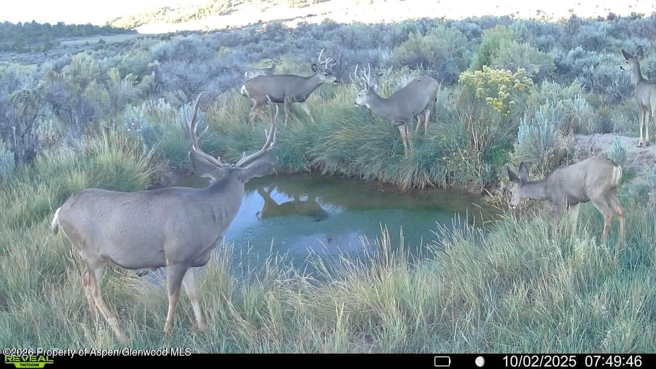 Tbd Cr 7, Meeker, CO 81641 - Photo 35