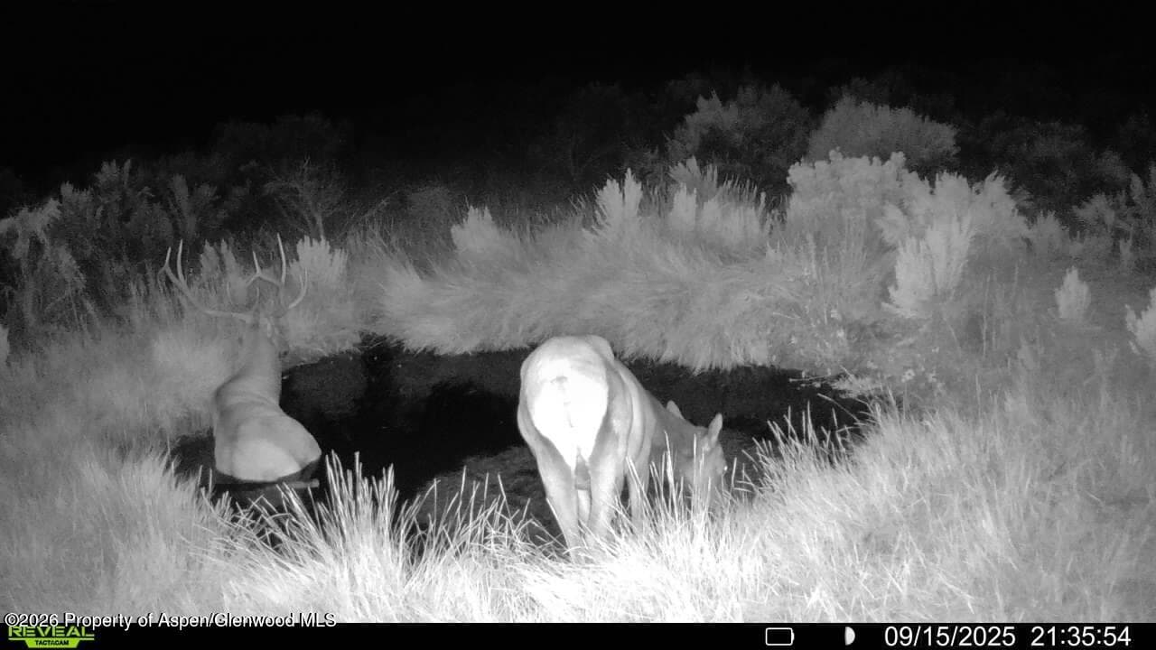 Tbd Cr 7, Meeker, CO 81641 - Photo 36