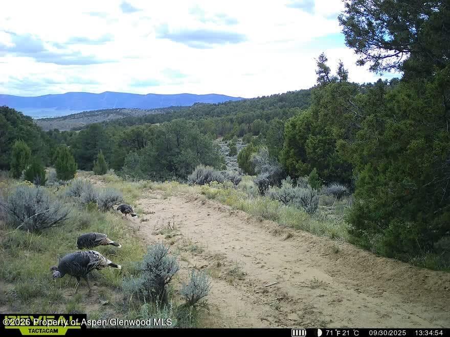 Tbd Cr 7, Meeker, CO 81641 - Photo 40