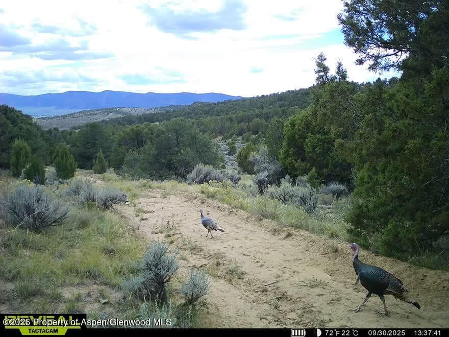 Tbd Cr 7, Meeker, CO 81641 - Photo 41