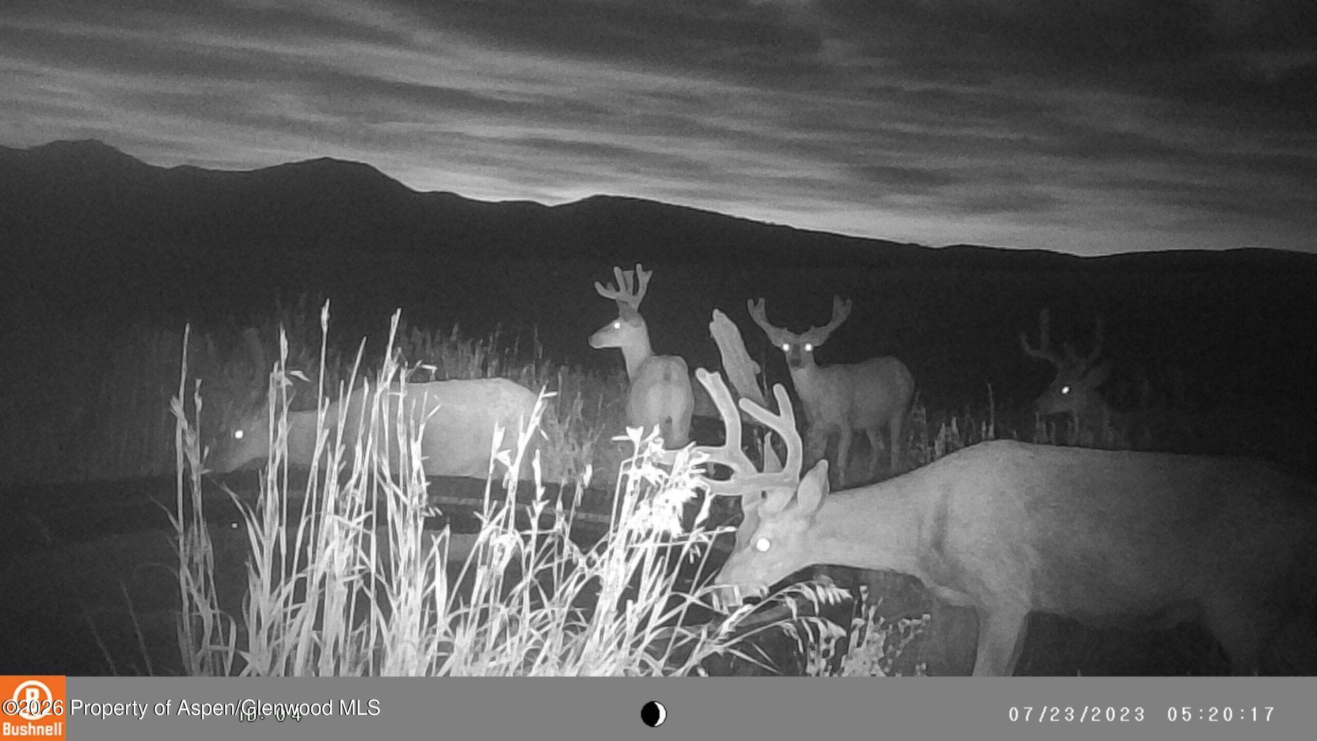 Tbd Cr 7, Meeker, CO 81641 - Photo 44