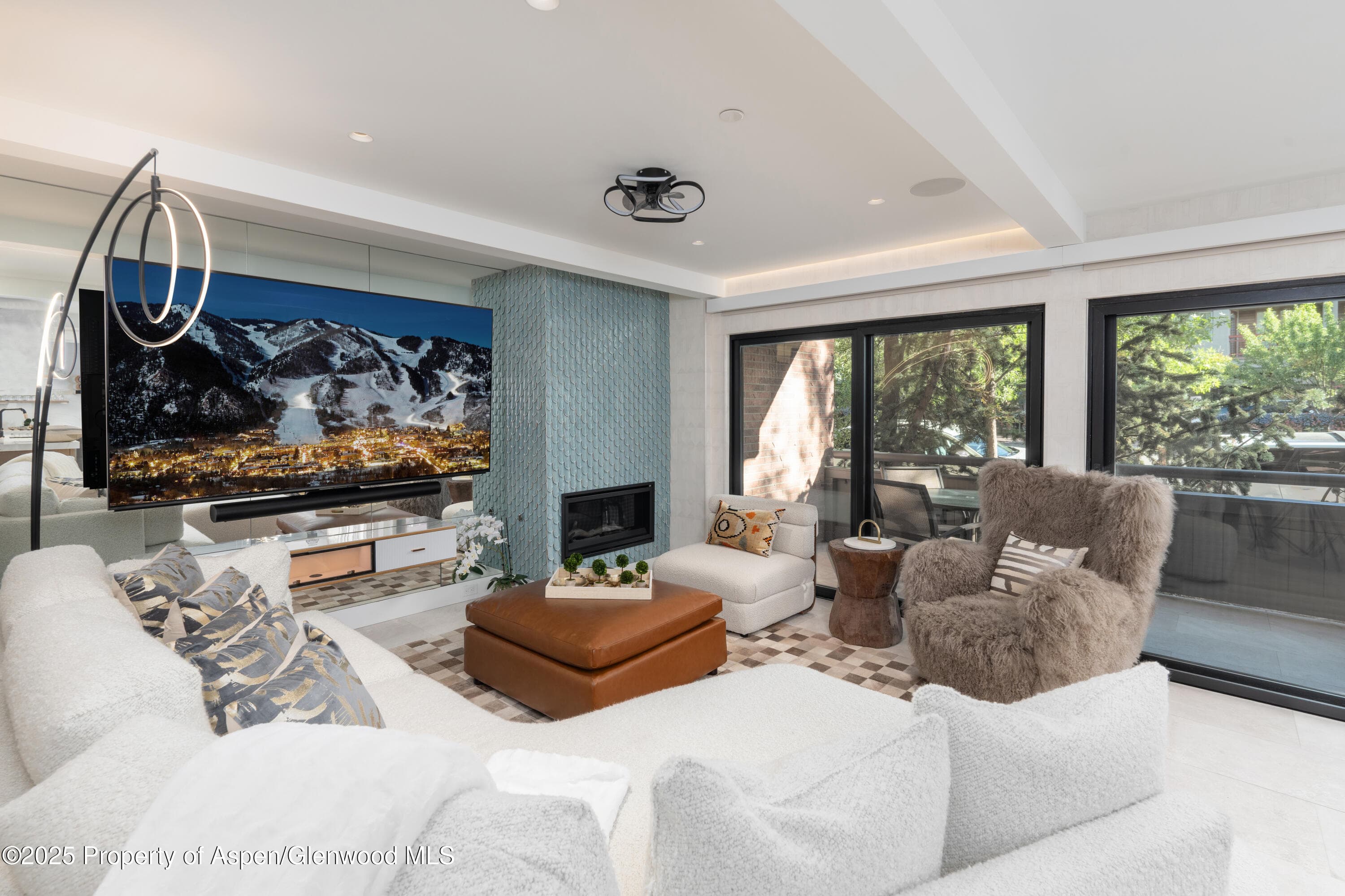 617 E Cooper Avenue Unit 110, Aspen, CO 81611 - Photo 2
