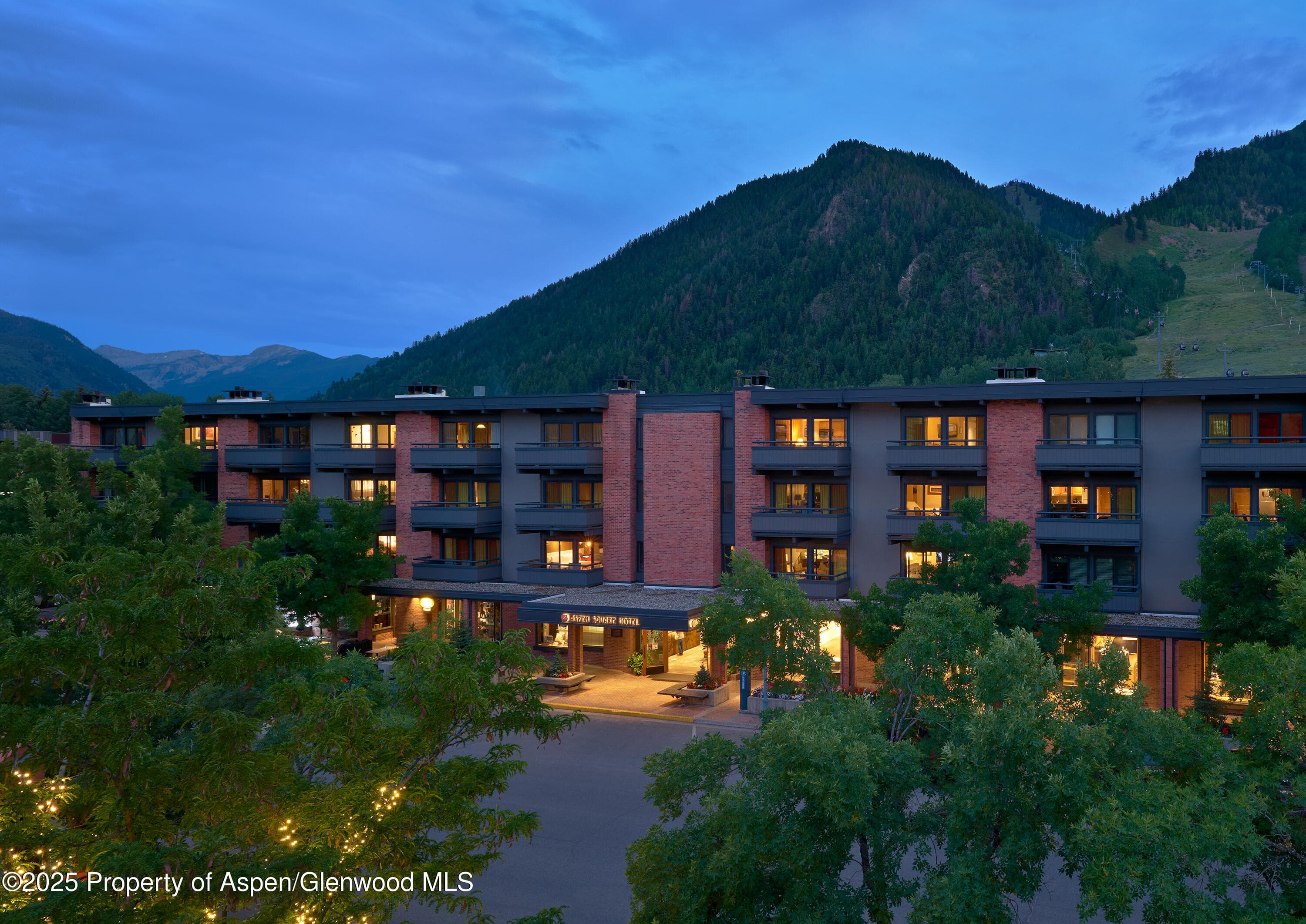 617 E Cooper Avenue Unit 110, Aspen, CO 81611 - Photo 4