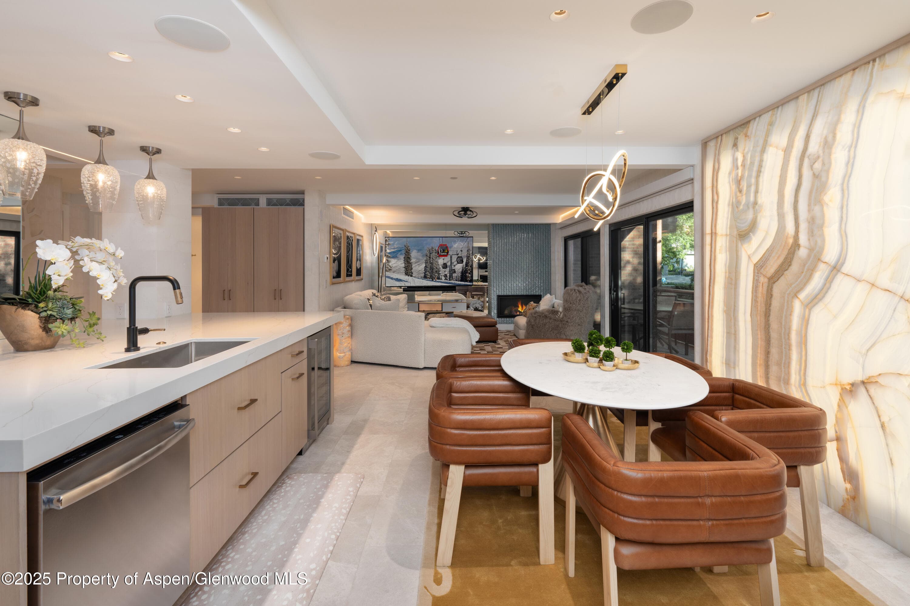 617 E Cooper Avenue Unit 110, Aspen, CO 81611 - Photo 6