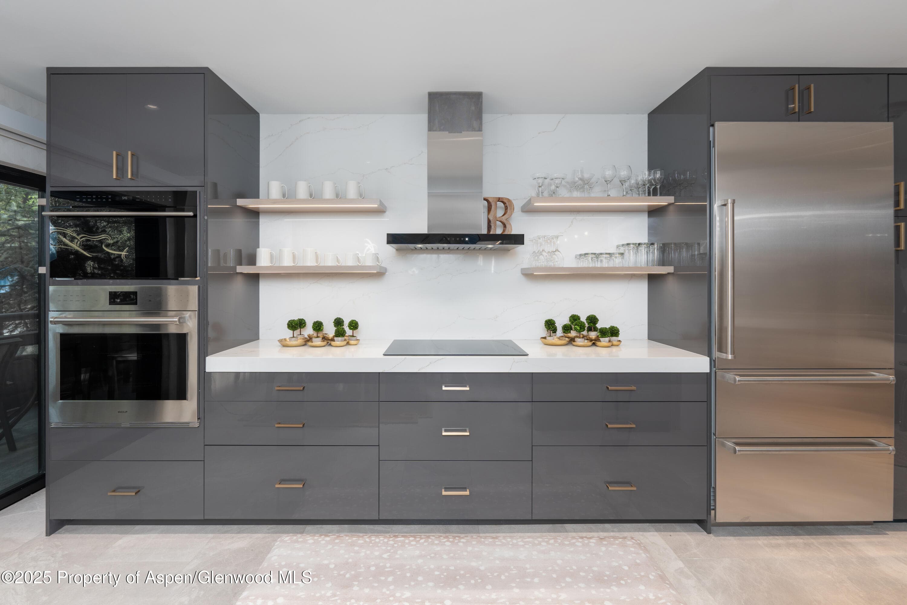 617 E Cooper Avenue Unit 110, Aspen, CO 81611 - Photo 8