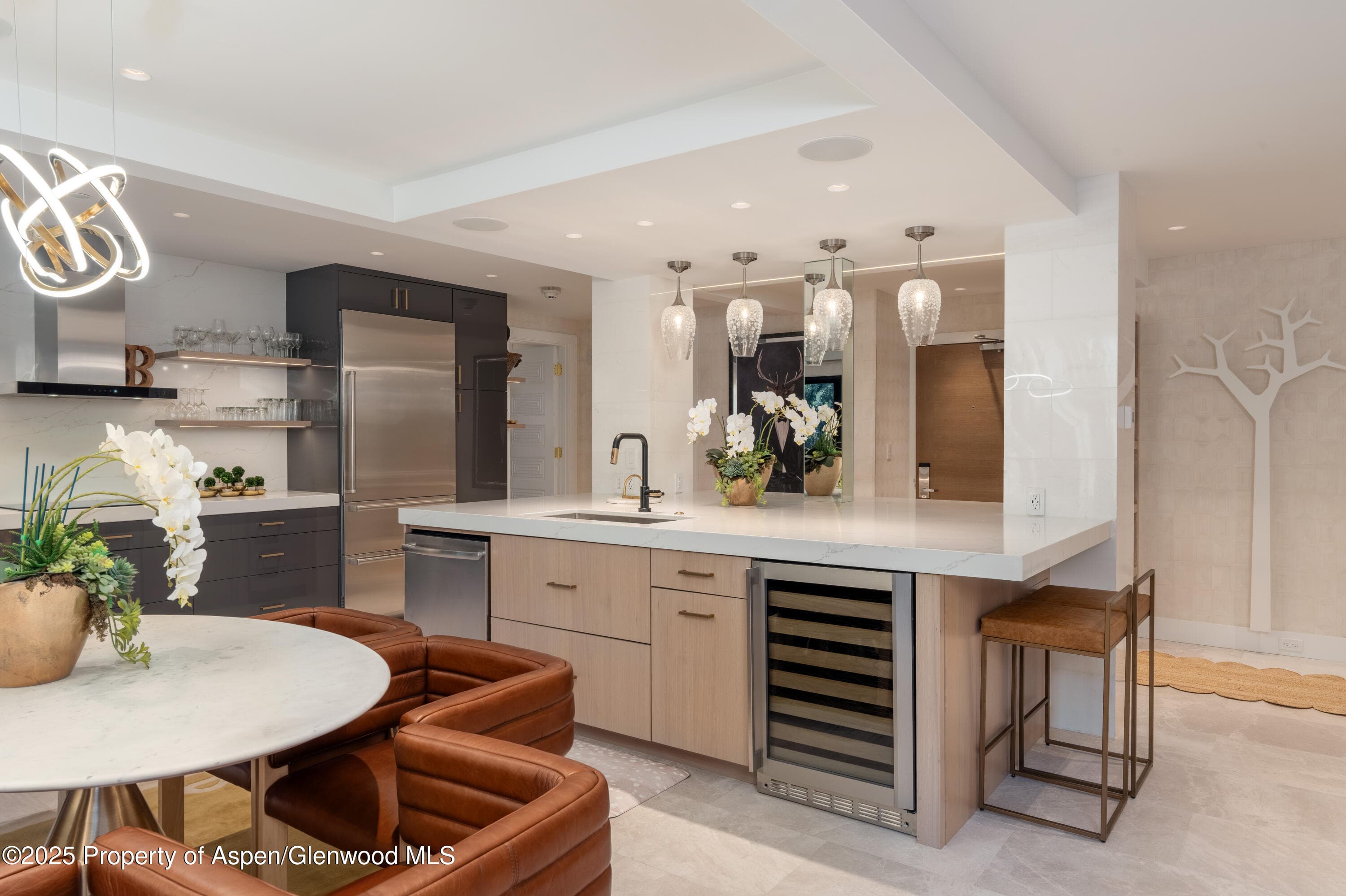617 E Cooper Avenue Unit 110, Aspen, CO 81611 - Photo 11