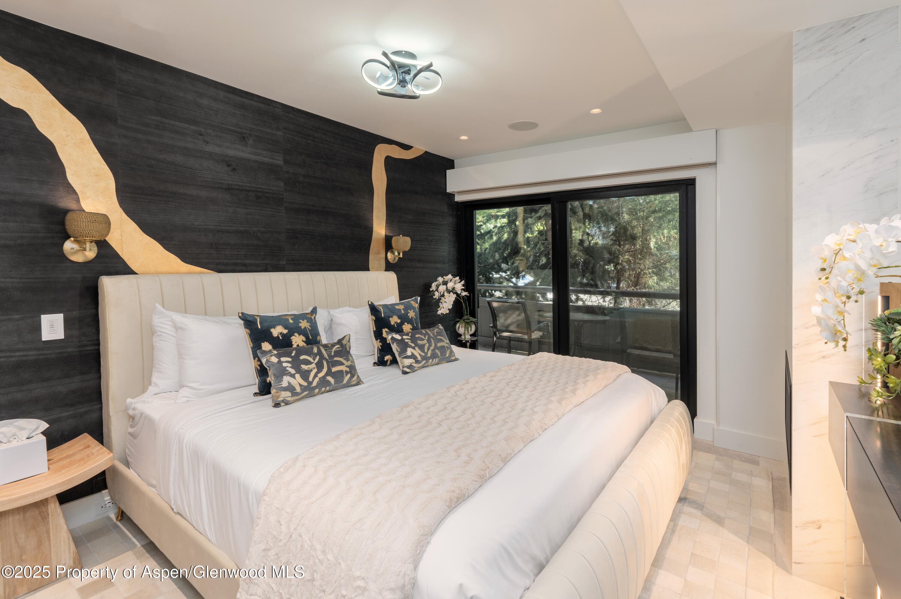 617 E Cooper Avenue Unit 110, Aspen, CO 81611 - Photo 12
