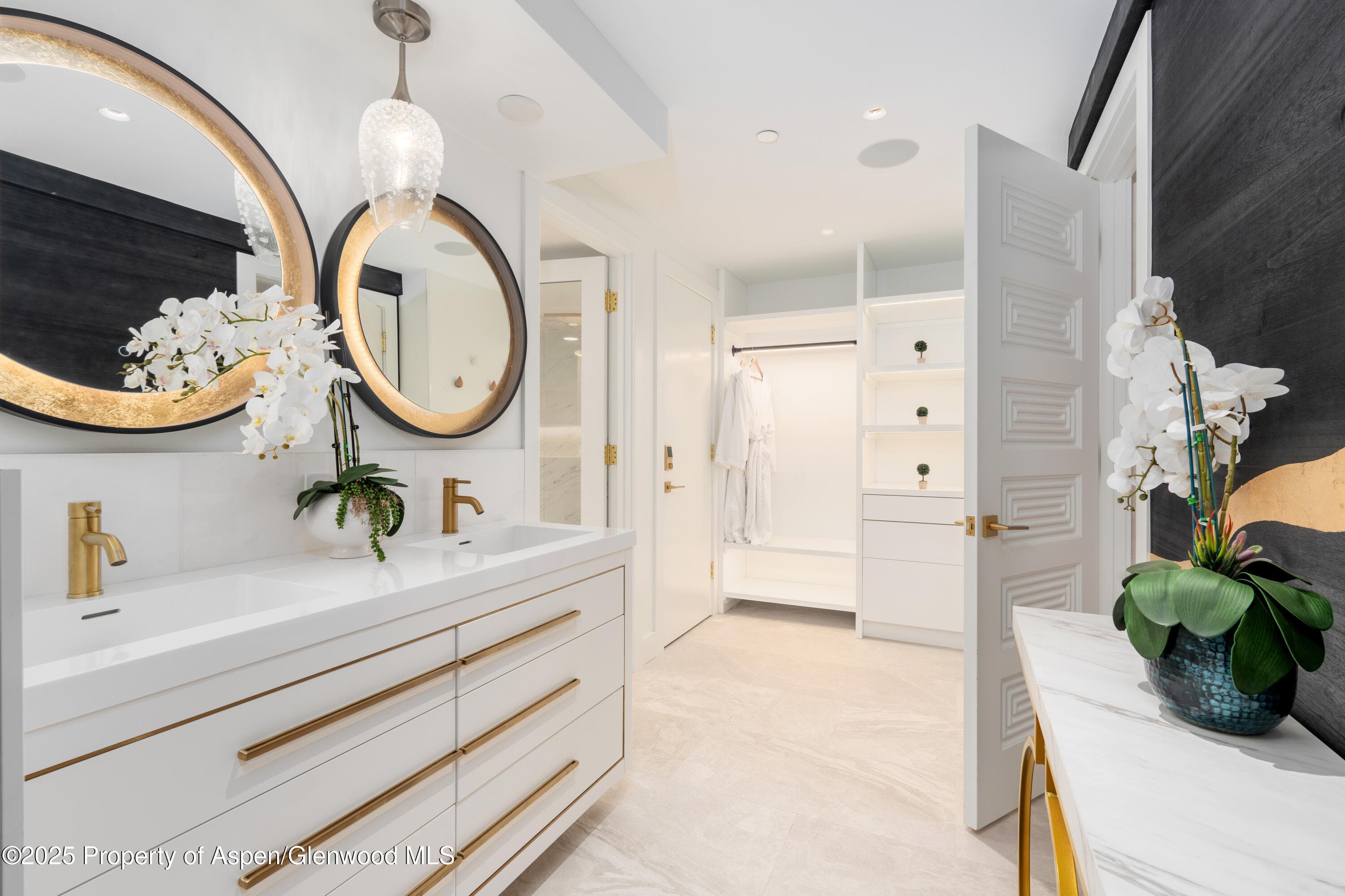 617 E Cooper Avenue Unit 110, Aspen, CO 81611 - Photo 18