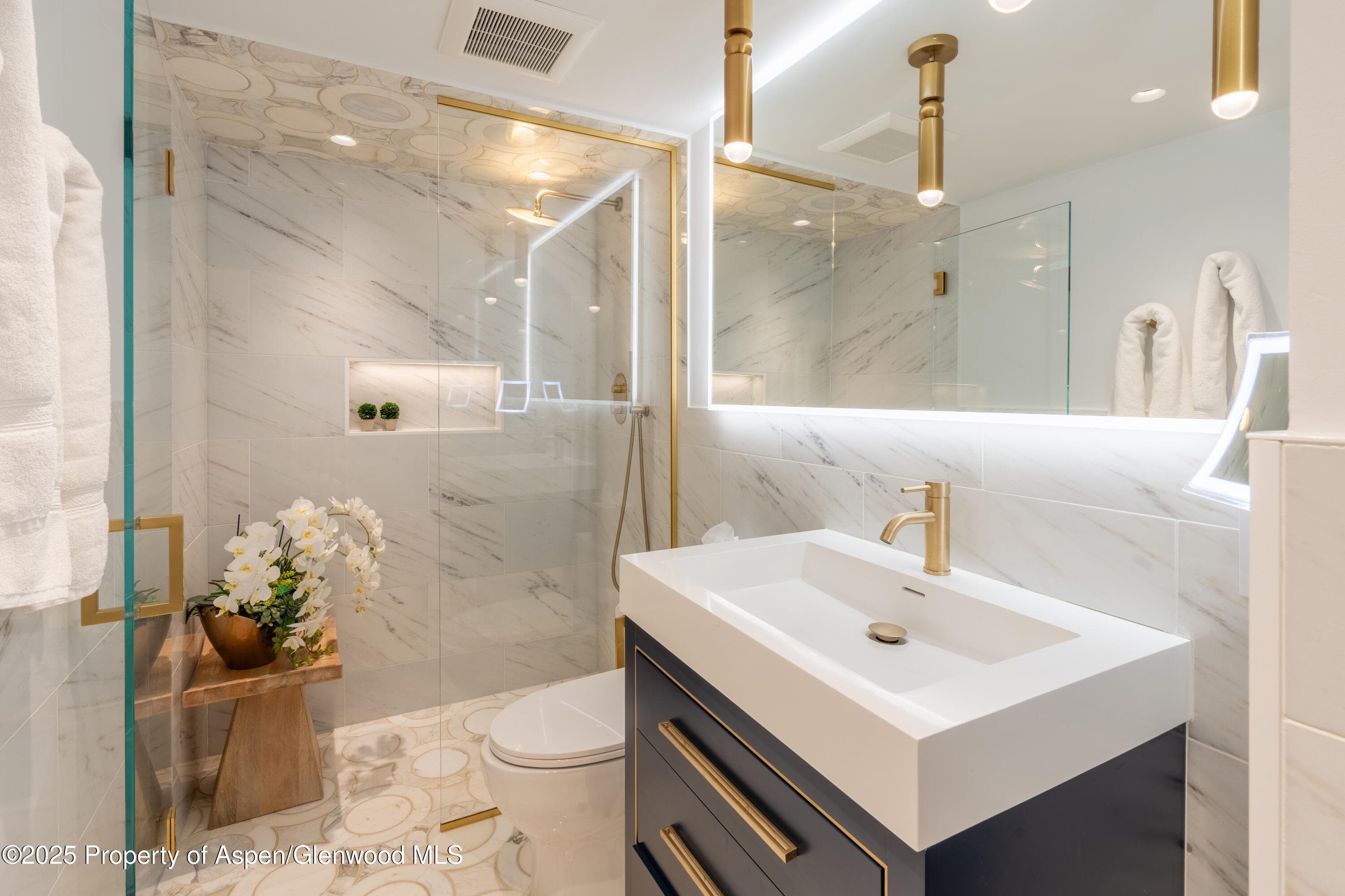 617 E Cooper Avenue Unit 110, Aspen, CO 81611 - Photo 21