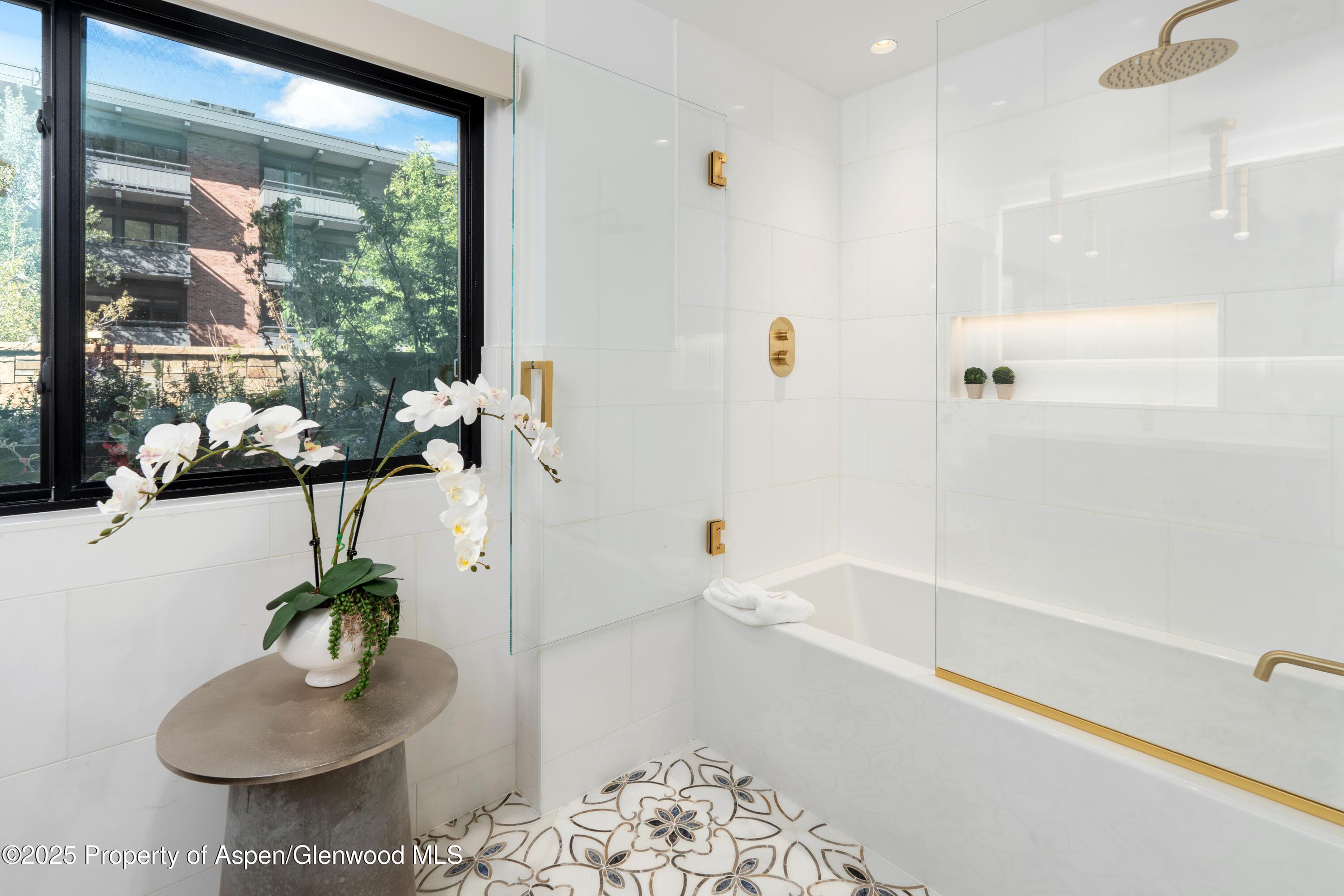 617 E Cooper Avenue Unit 110, Aspen, CO 81611 - Photo 23