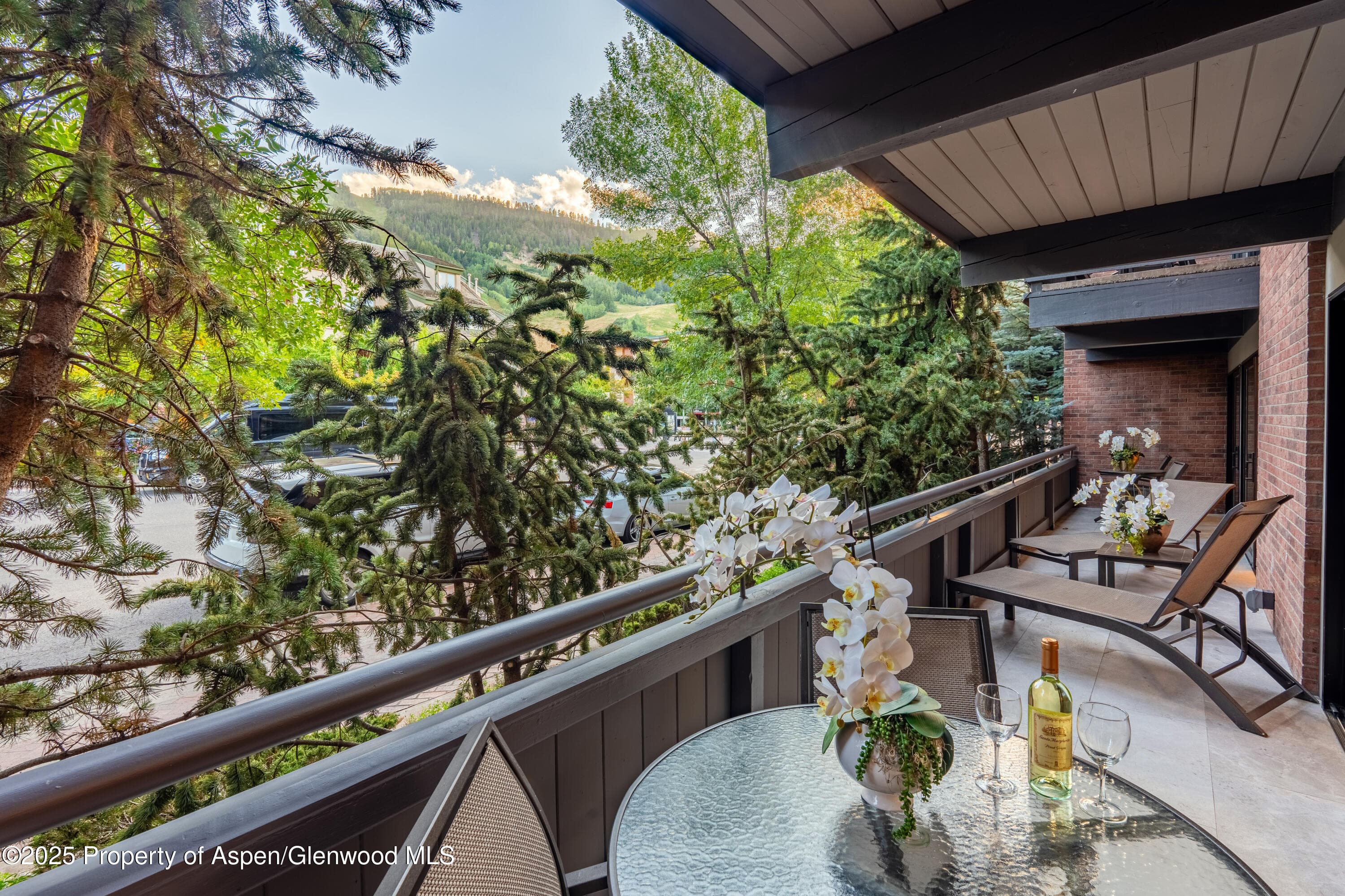 617 E Cooper Avenue Unit 110, Aspen, CO 81611 - Photo 28