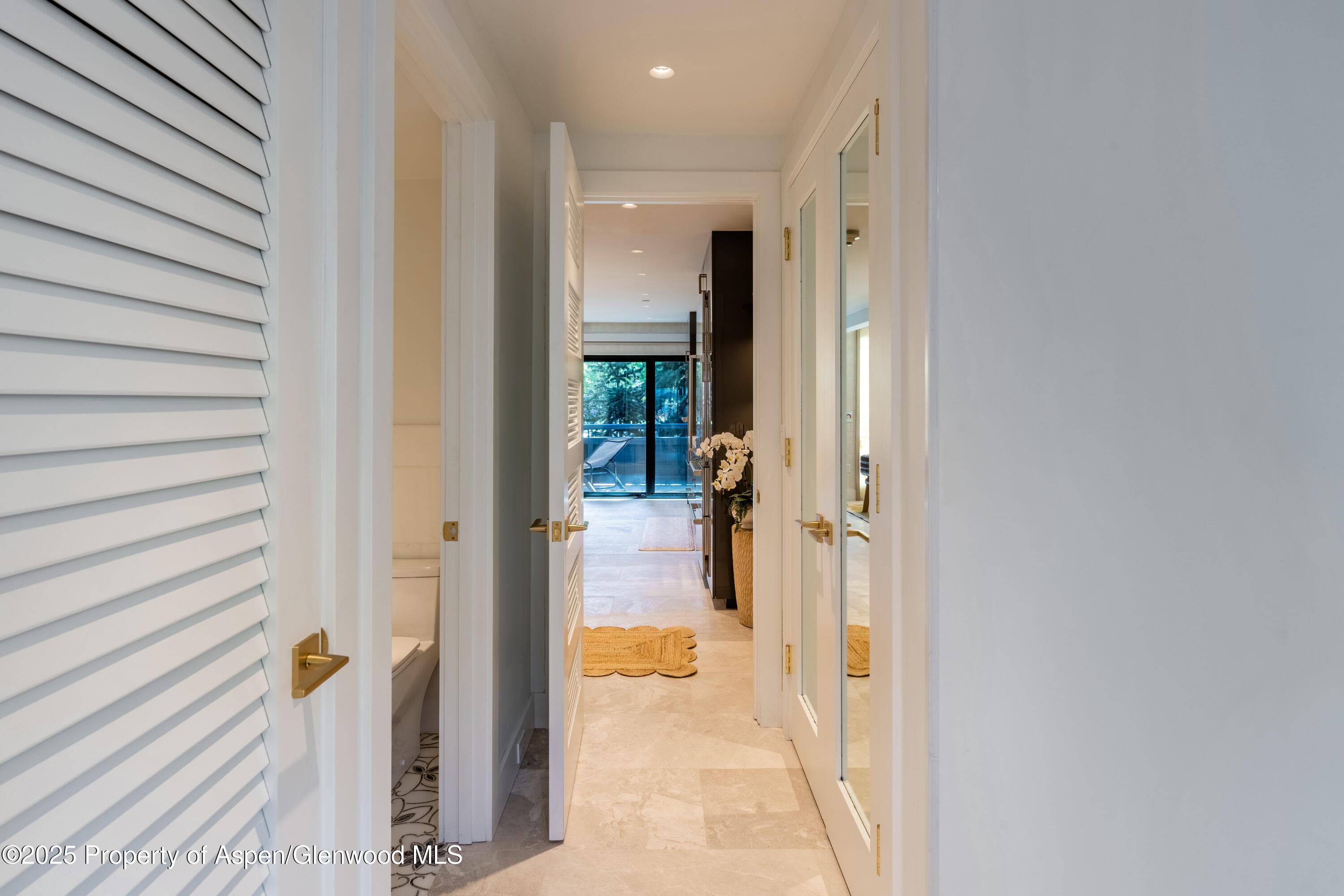 617 E Cooper Avenue Unit 110, Aspen, CO 81611 - Photo 29
