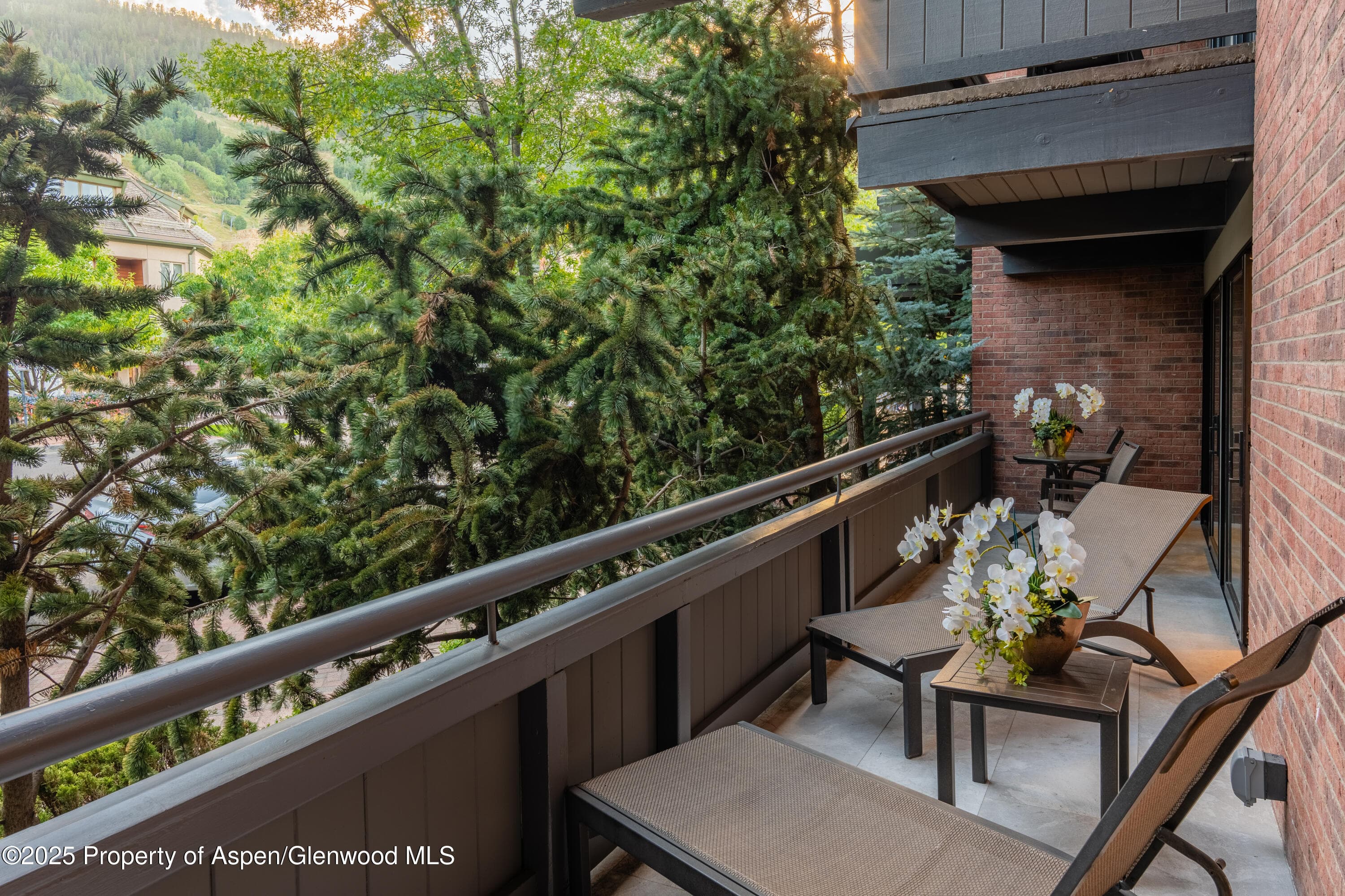 617 E Cooper Avenue Unit 110, Aspen, CO 81611 - Photo 30