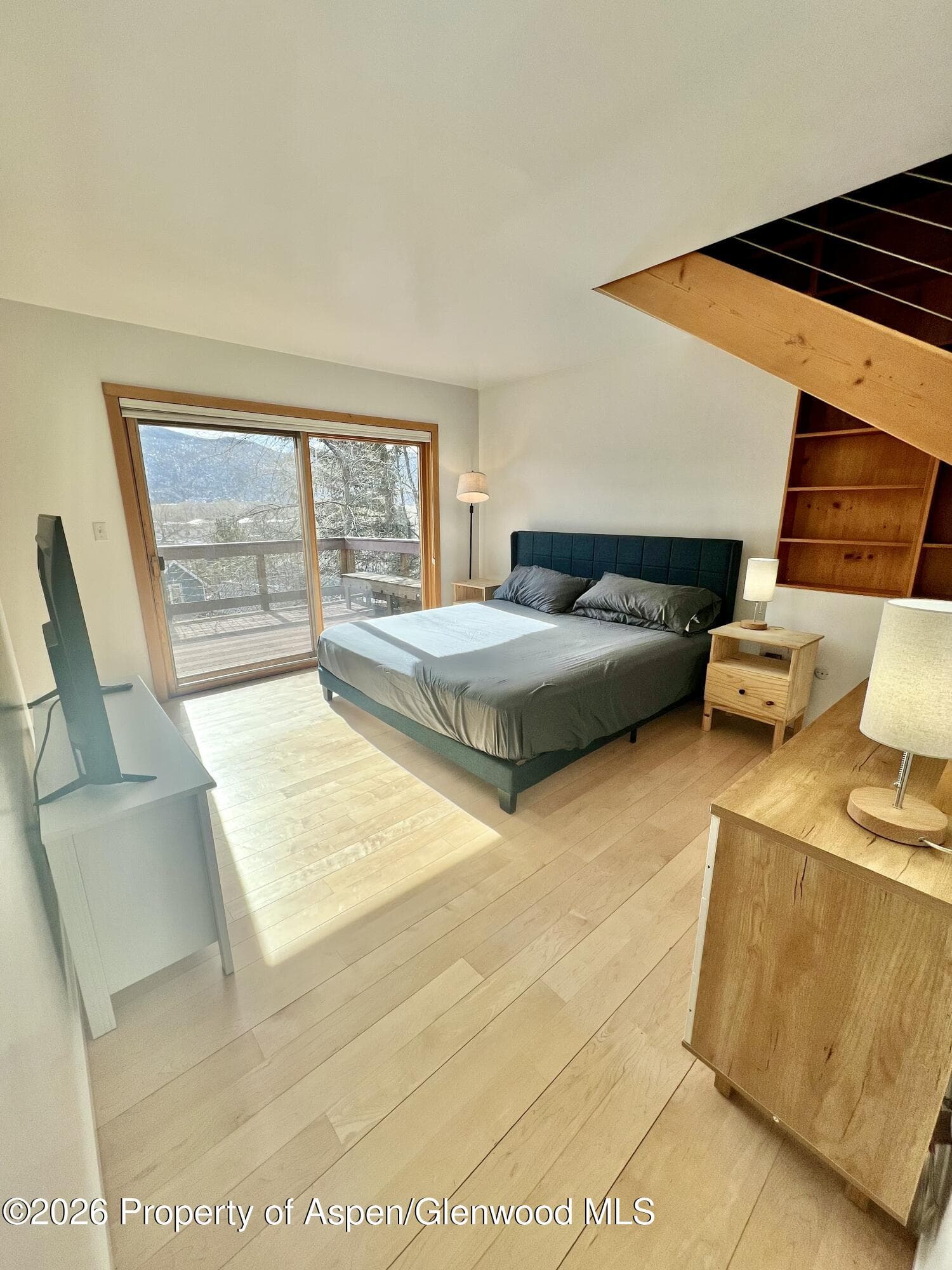 216 E Homestead Drive, Basalt, CO 81621 - Photo 21