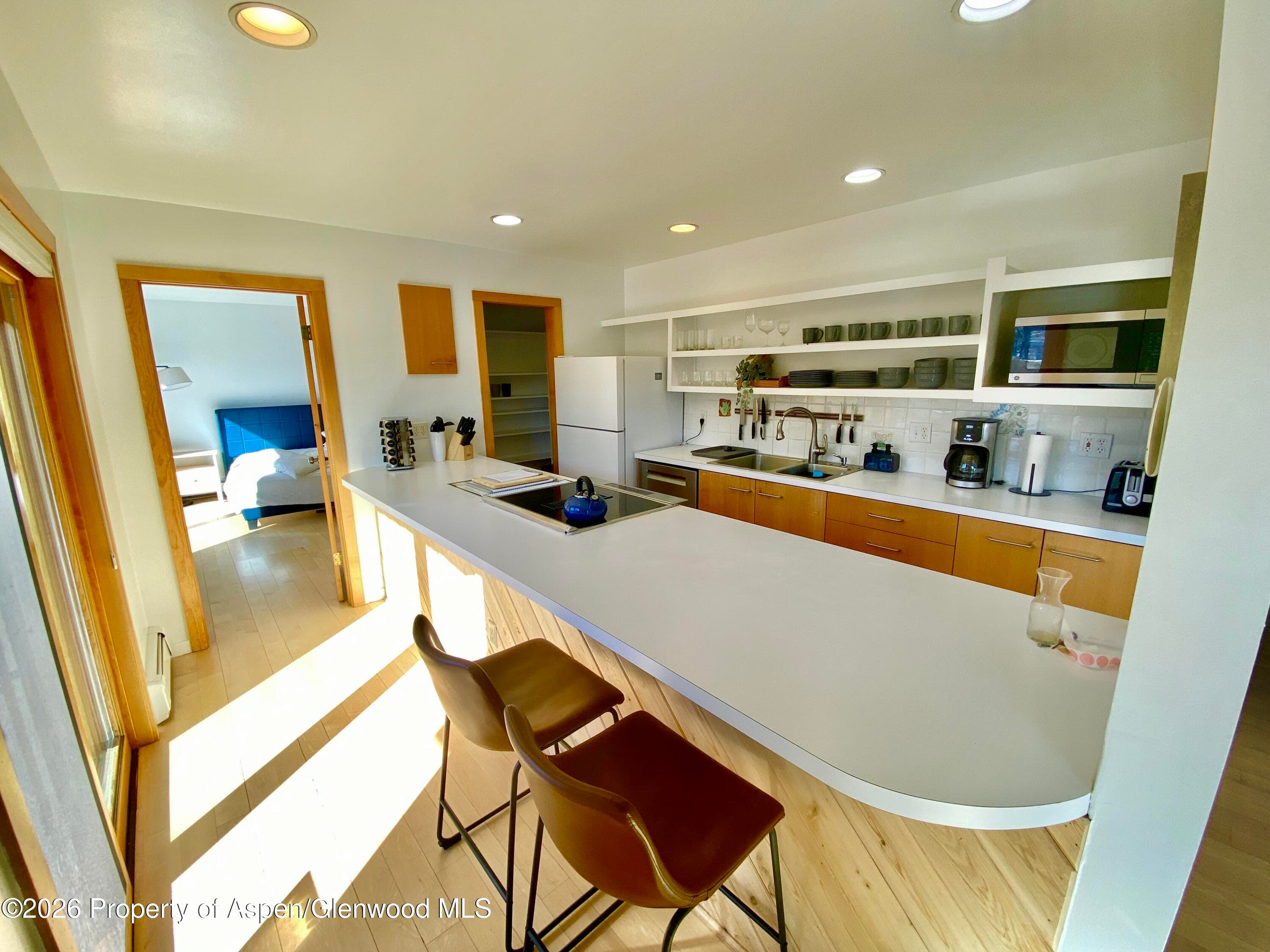 216 E Homestead Drive, Basalt, CO 81621 - Photo 24