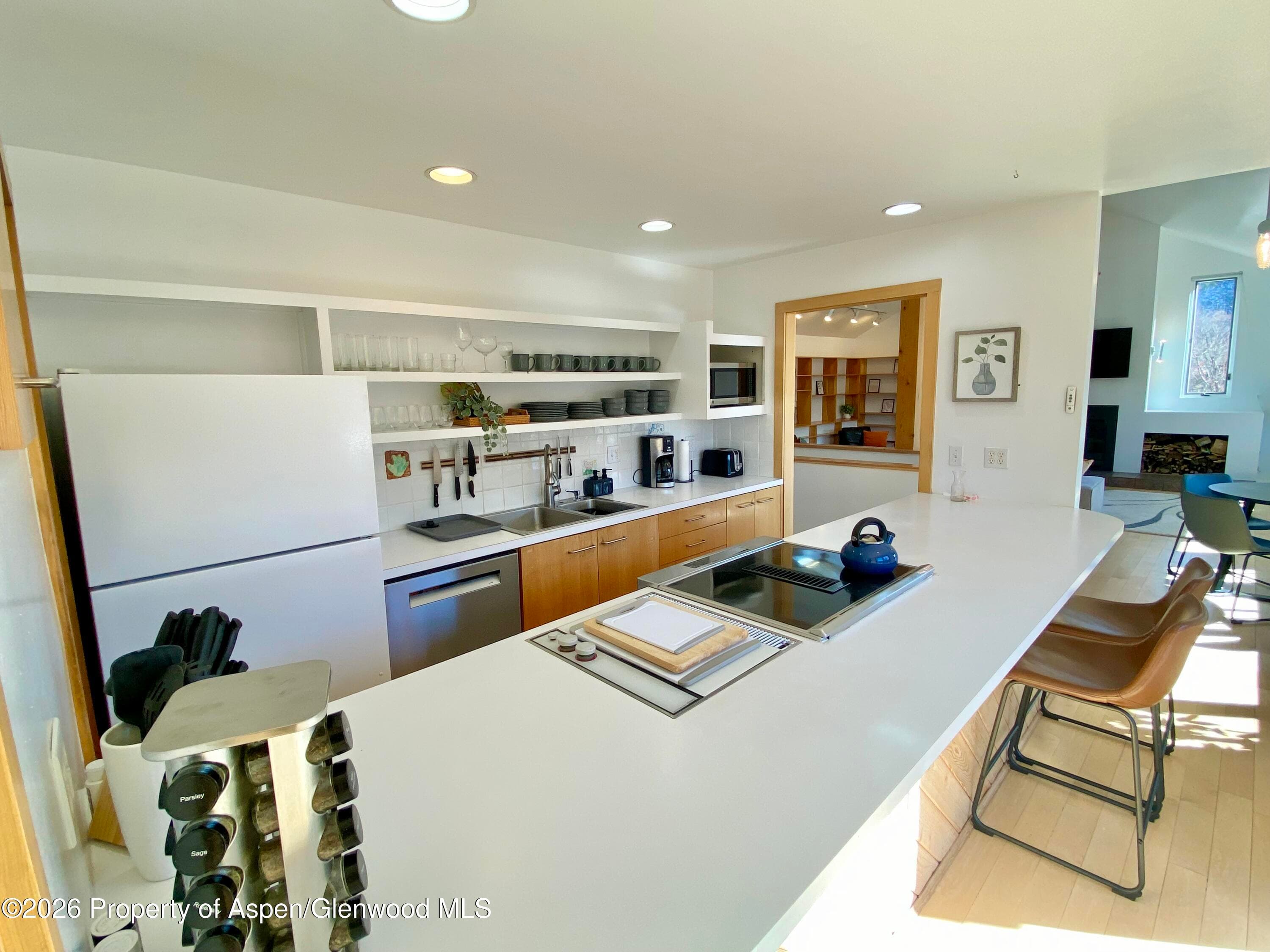 216 E Homestead Drive, Basalt, CO 81621 - Photo 25