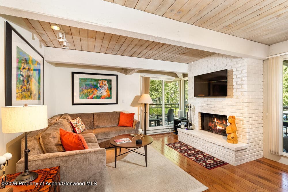 1039 E Cooper Avenue #41, Aspen, CO 81611 - Photo 3