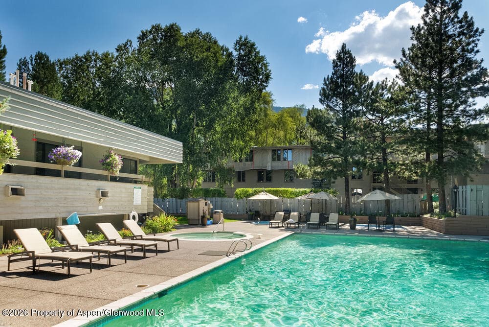 1039 E Cooper Avenue #41, Aspen, CO 81611 - Photo 9