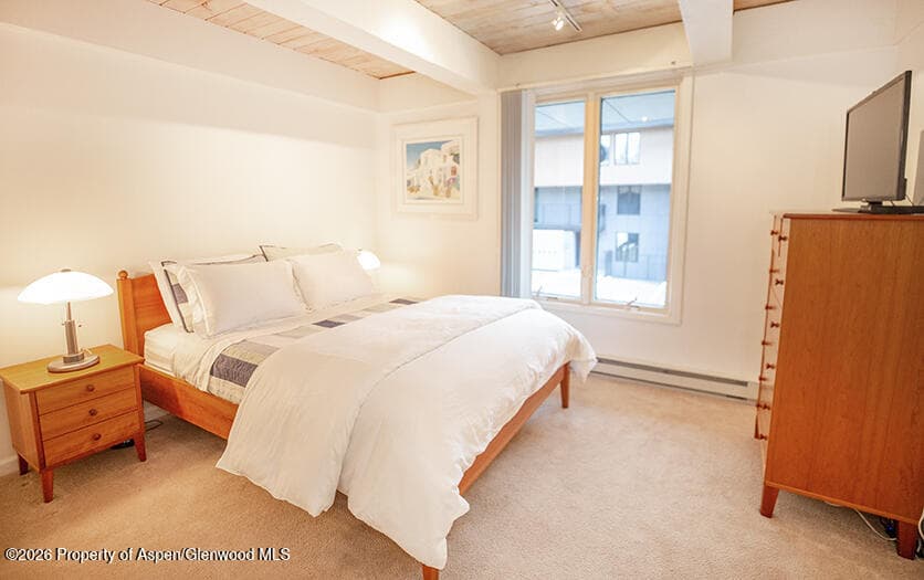 1039 E Cooper Avenue #41, Aspen, CO 81611 - Photo 7