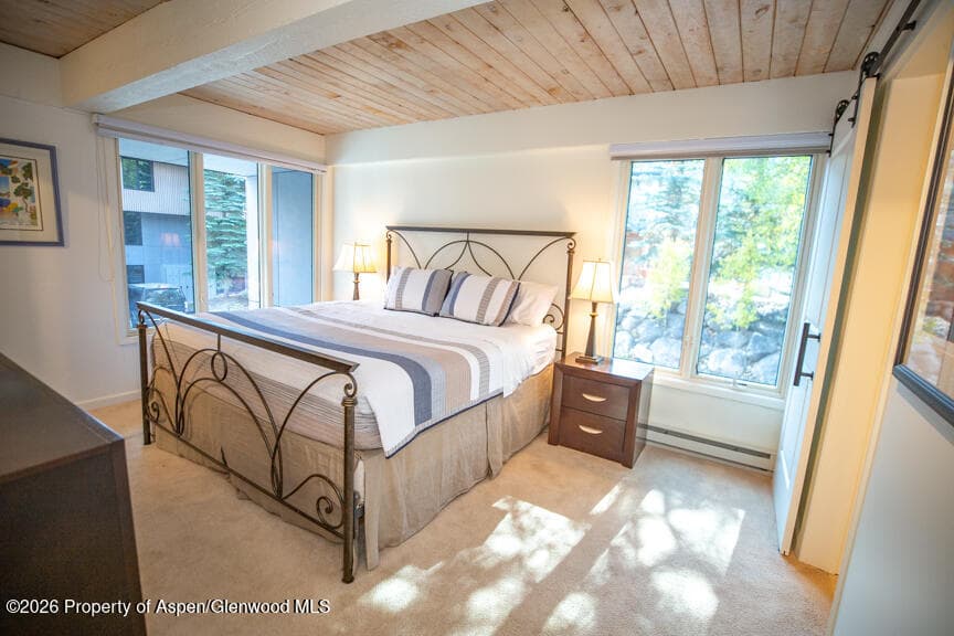 1039 E Cooper Avenue #41, Aspen, CO 81611 - Photo 4