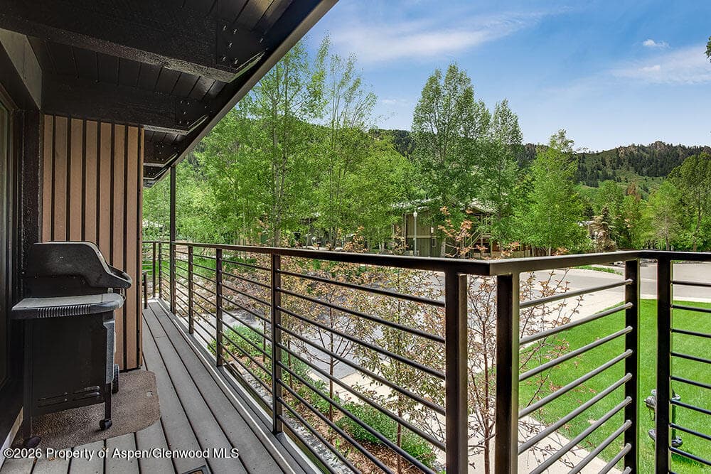 1039 E Cooper Avenue #41, Aspen, CO 81611 - Photo 10