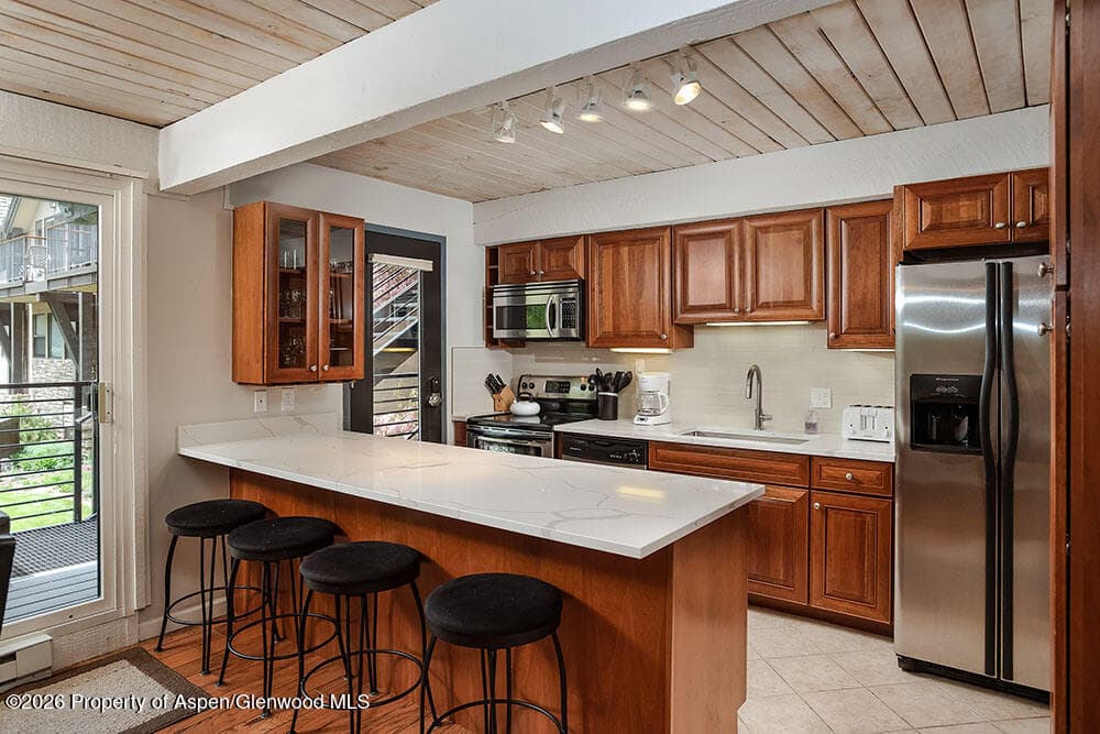 1039 E Cooper Avenue #41, Aspen, CO 81611 - Photo 2