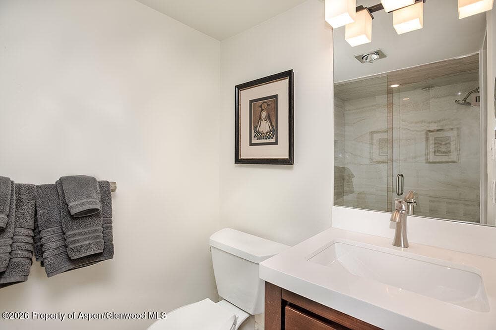 1039 E Cooper Avenue #41, Aspen, CO 81611 - Photo 6