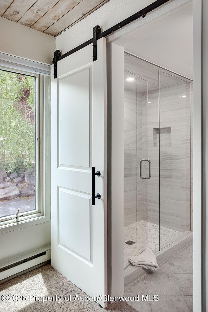 1039 E Cooper Avenue #41, Aspen, CO 81611 - Photo 5