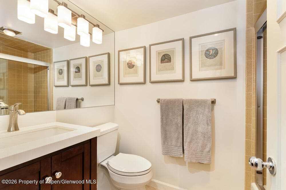 1039 E Cooper Avenue #41, Aspen, CO 81611 - Photo 8