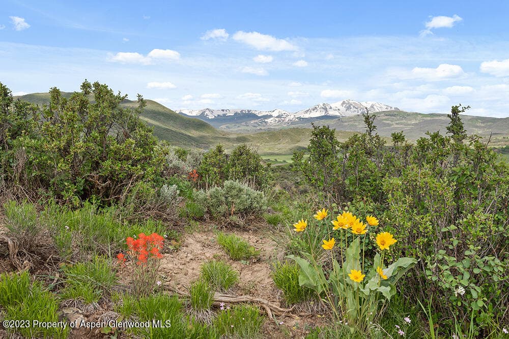 000 Lazy O Road Lot #4, Snowmass, CO 81654 - Photo 11