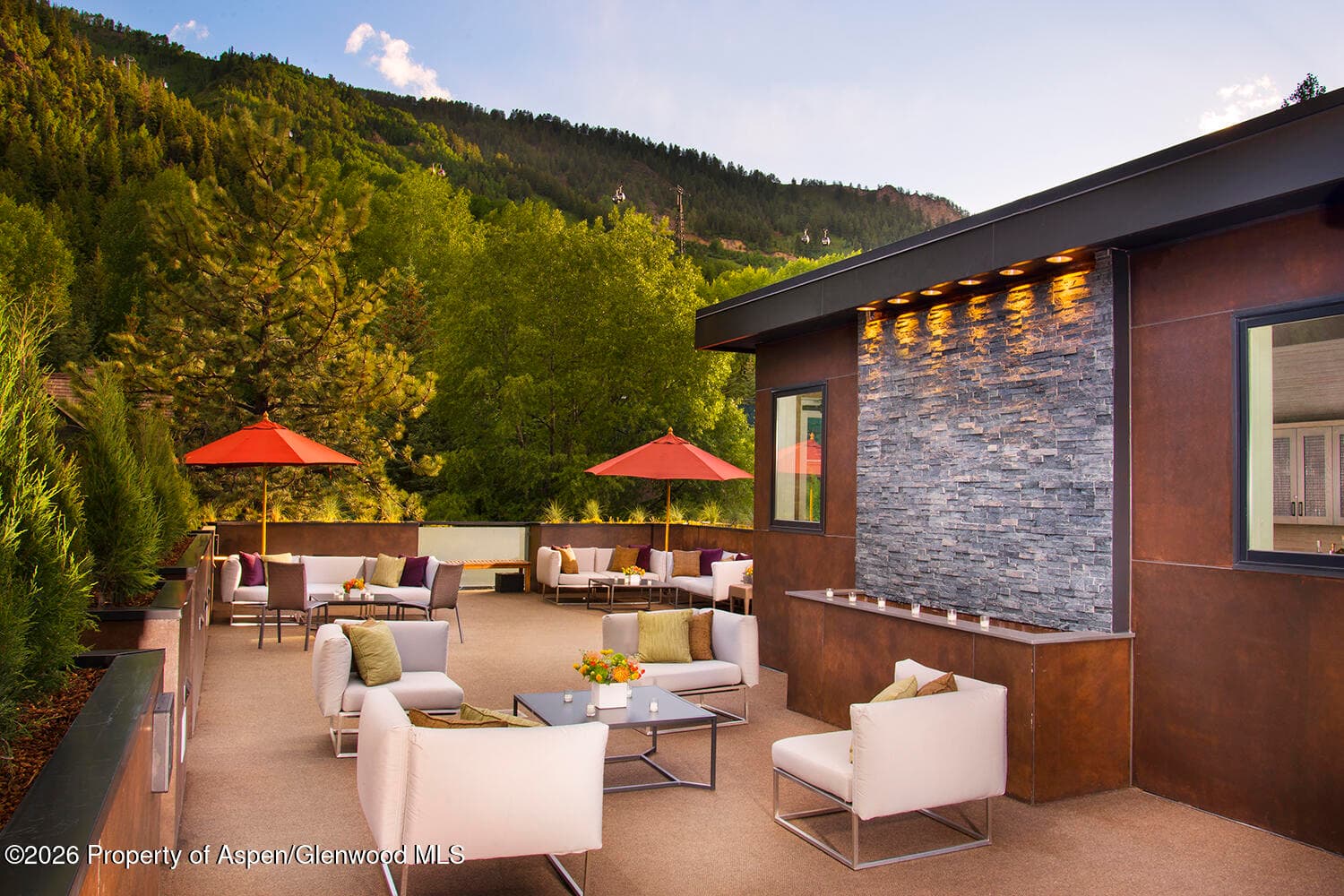 610 S West End Street G202, Aspen, CO 81611 - Photo 6