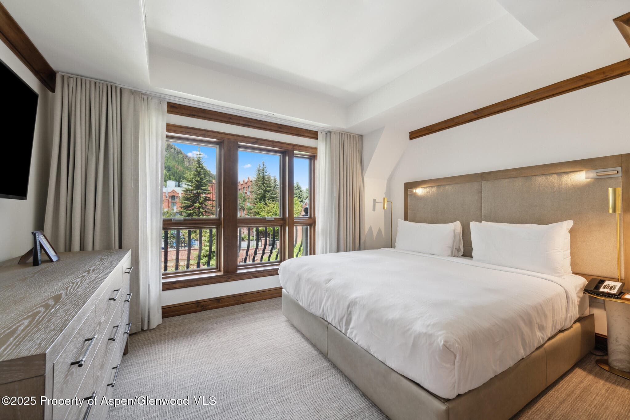 415 E Dean St., Unit 36, Weeks 5 & 6, Aspen, CO 81611 - Photo 12