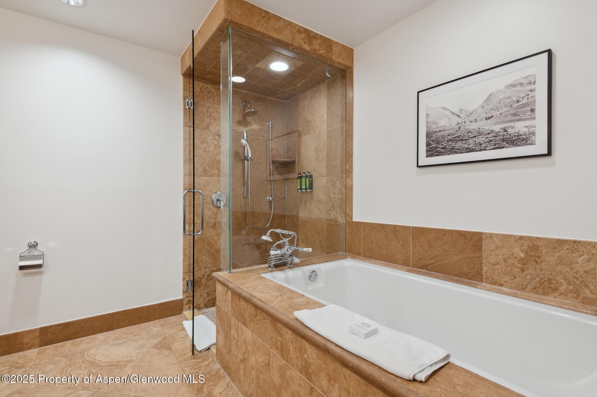 415 E Dean St., Unit 36, Weeks 5 & 6, Aspen, CO 81611 - Photo 28