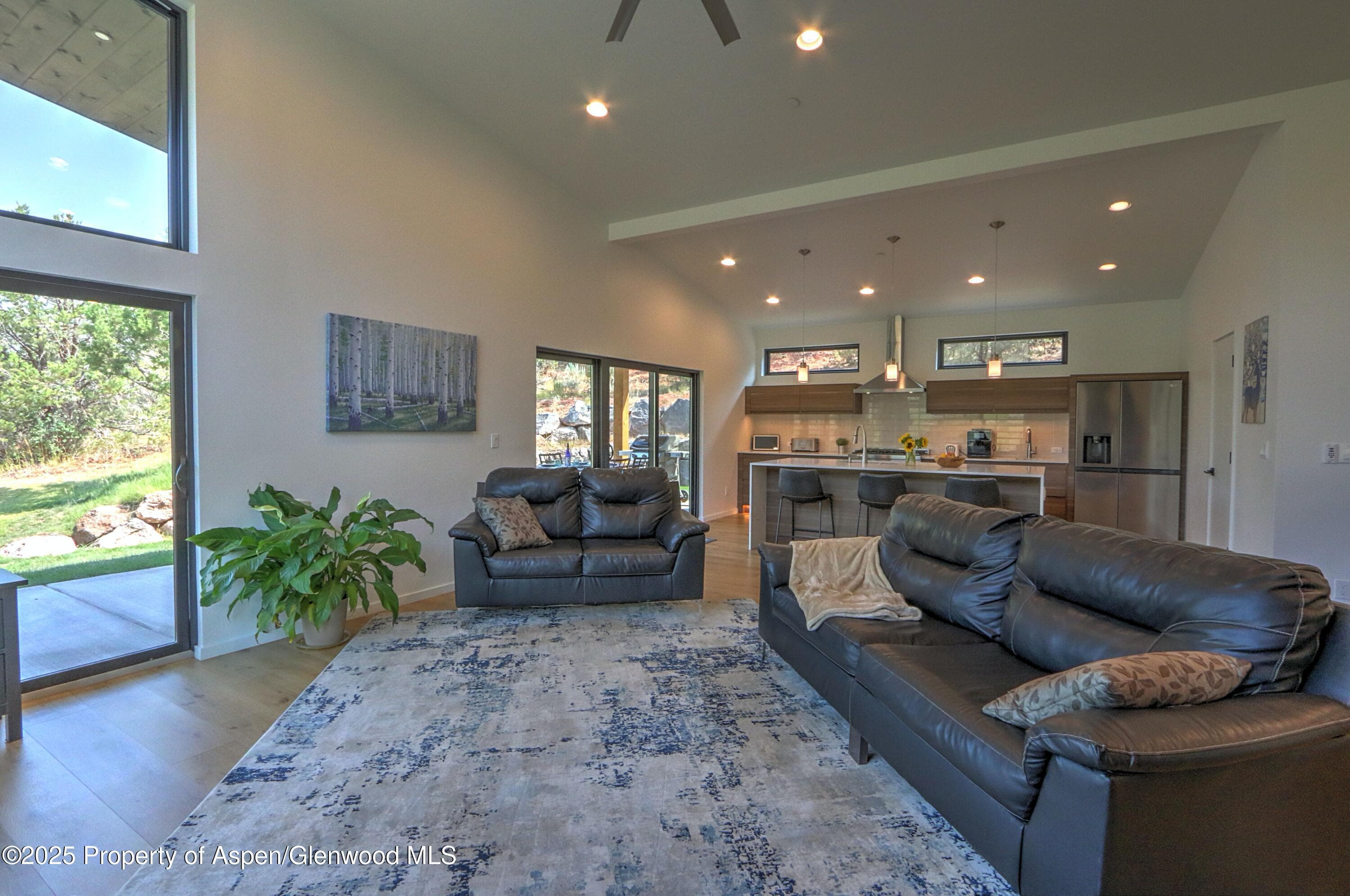 1015 Hidden Valley Drive, Glenwood Springs, CO 81601 - Photo 9