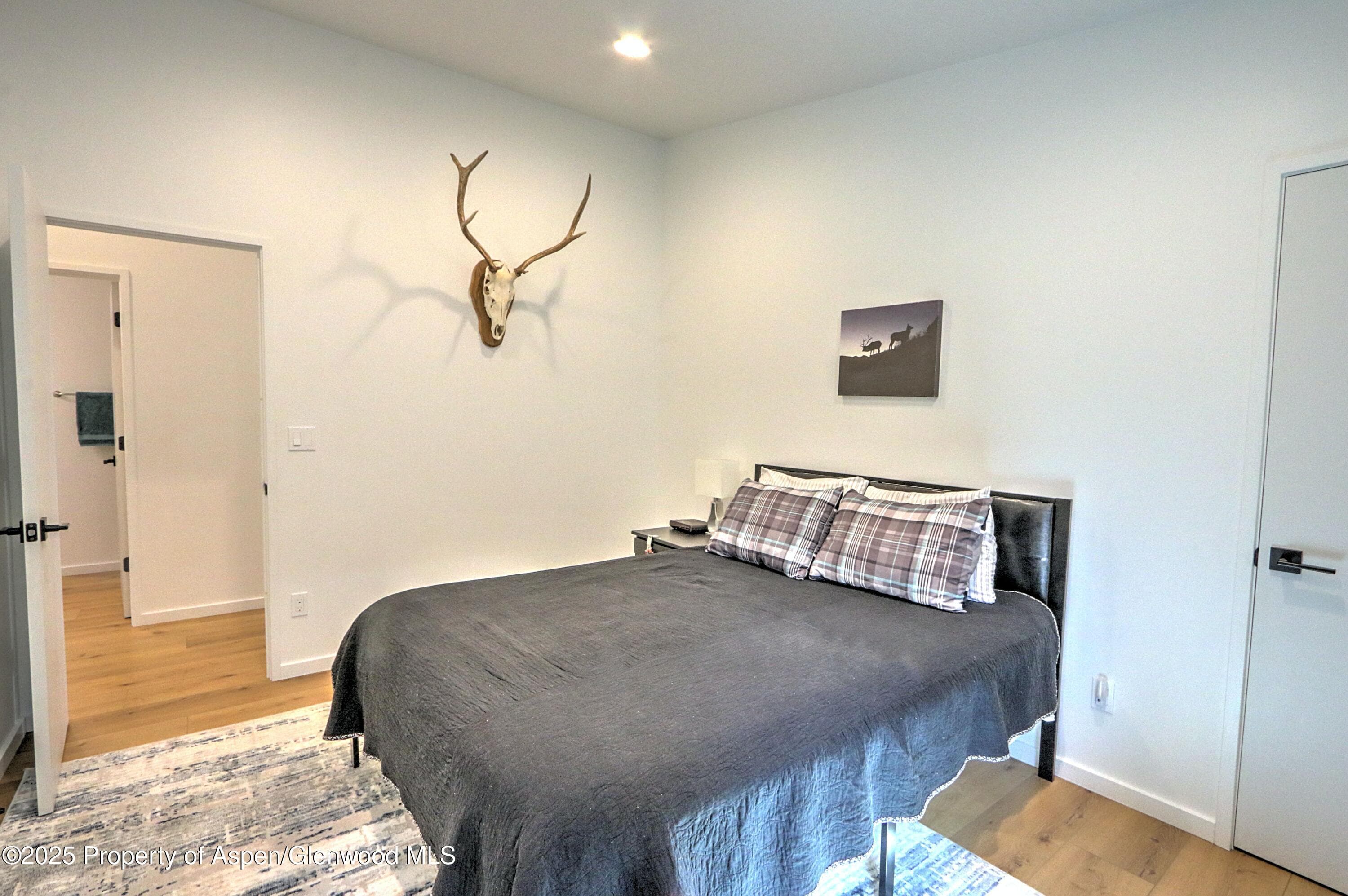 1015 Hidden Valley Drive, Glenwood Springs, CO 81601 - Photo 23
