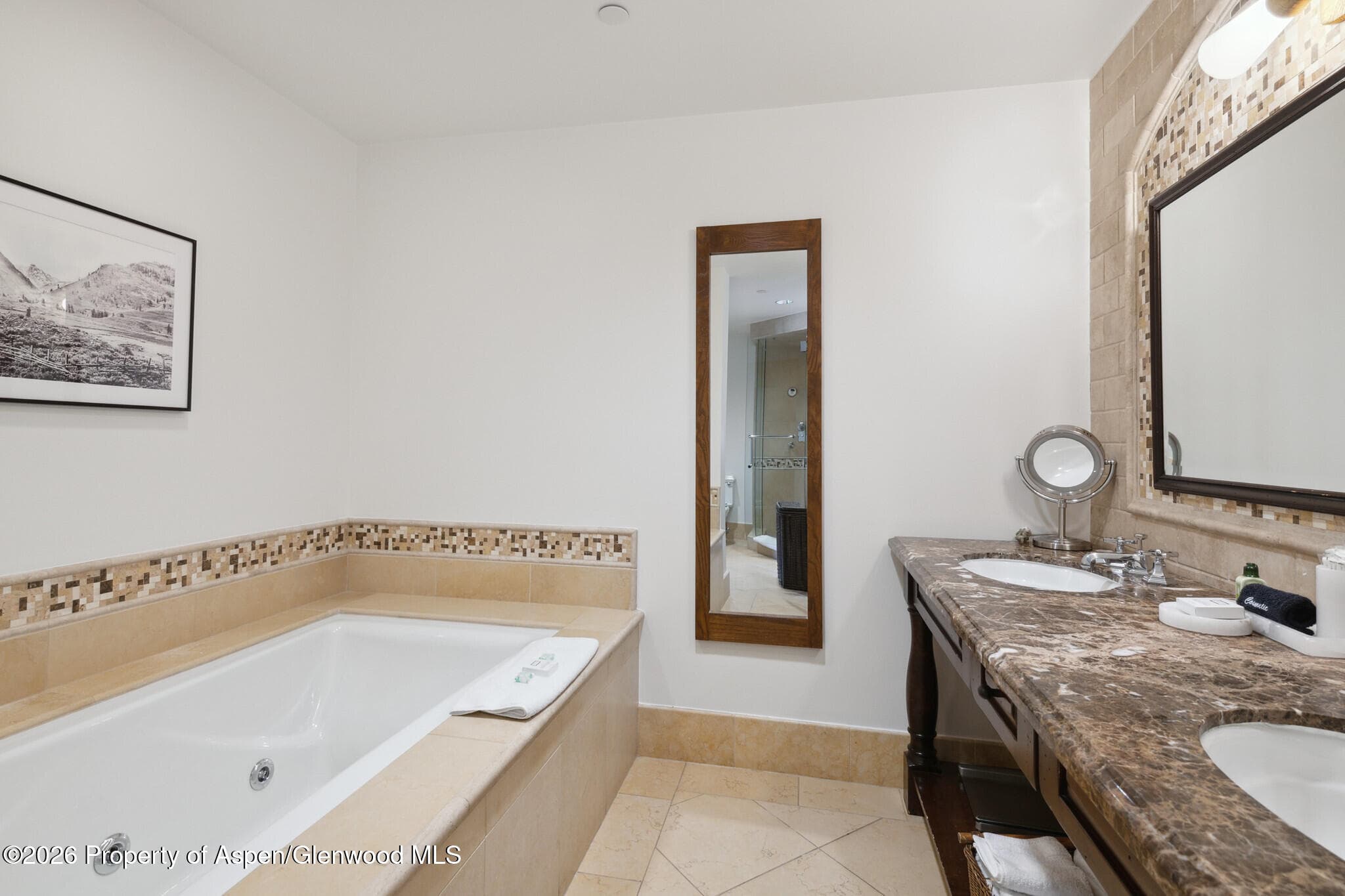 415 E Dean St, Unit 29, Week 5, Aspen, CO 81611 - Photo 18
