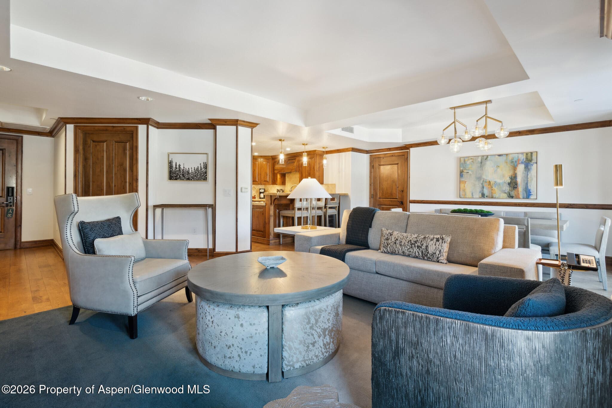 415 E Dean St, Unit 29, Week 5, Aspen, CO 81611 - Photo 3