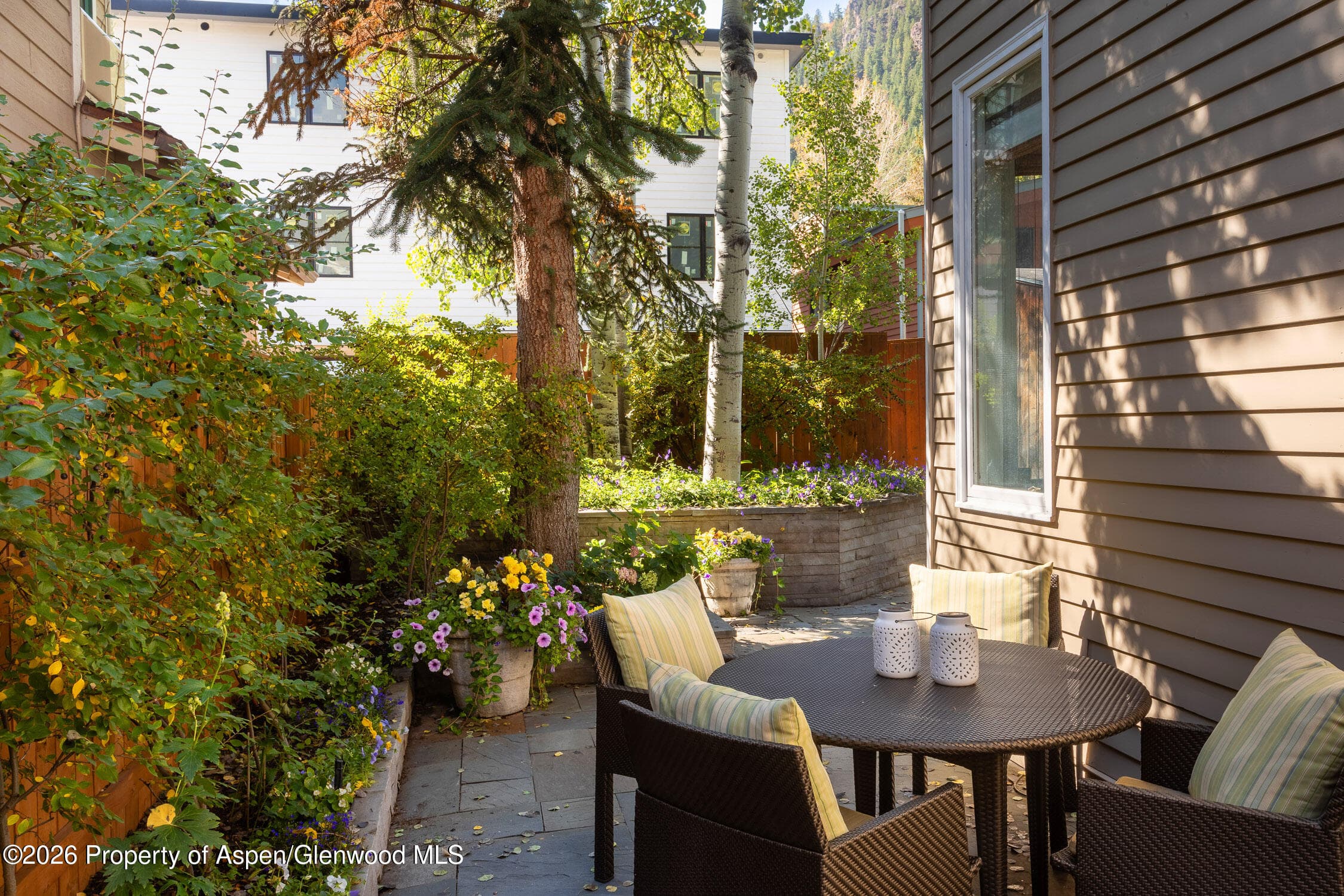 215 W Bleeker Street, Aspen, CO 81611 - Photo 8