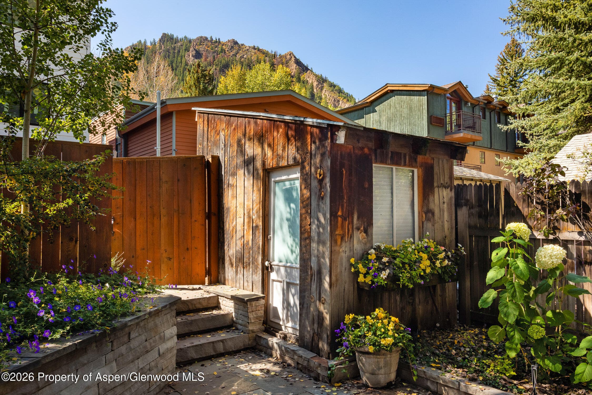 215 W Bleeker Street, Aspen, CO 81611 - Photo 11