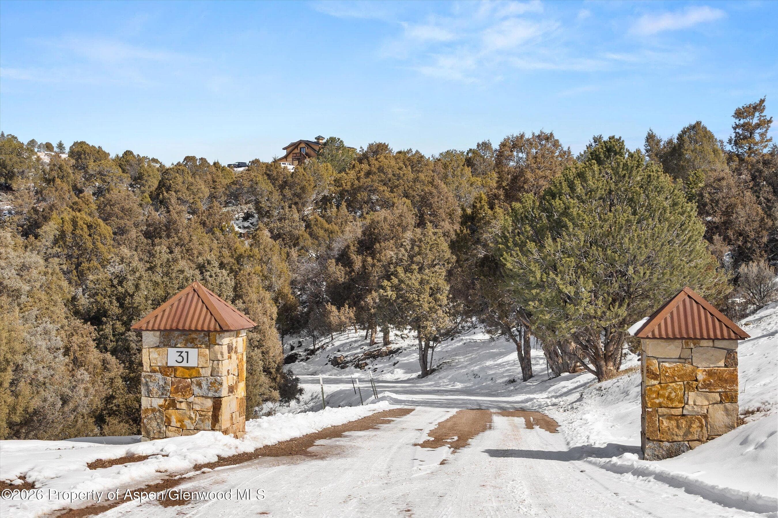 31 Wind River Road, Carbondale, CO 81623 - Photo 46
