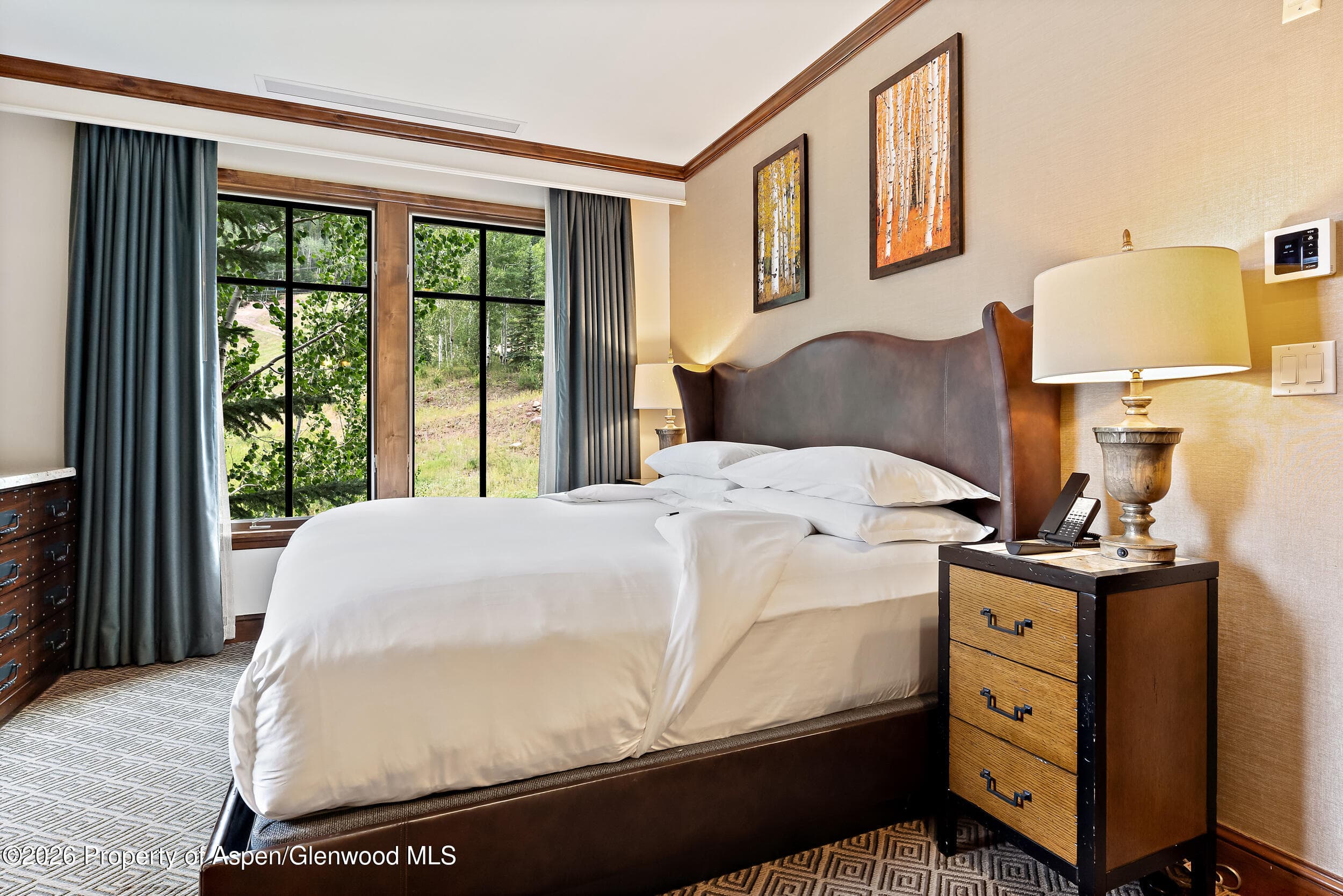 39 Boomerang Road 8210/Winter Interest 3, Aspen, CO 81611 - Photo 10