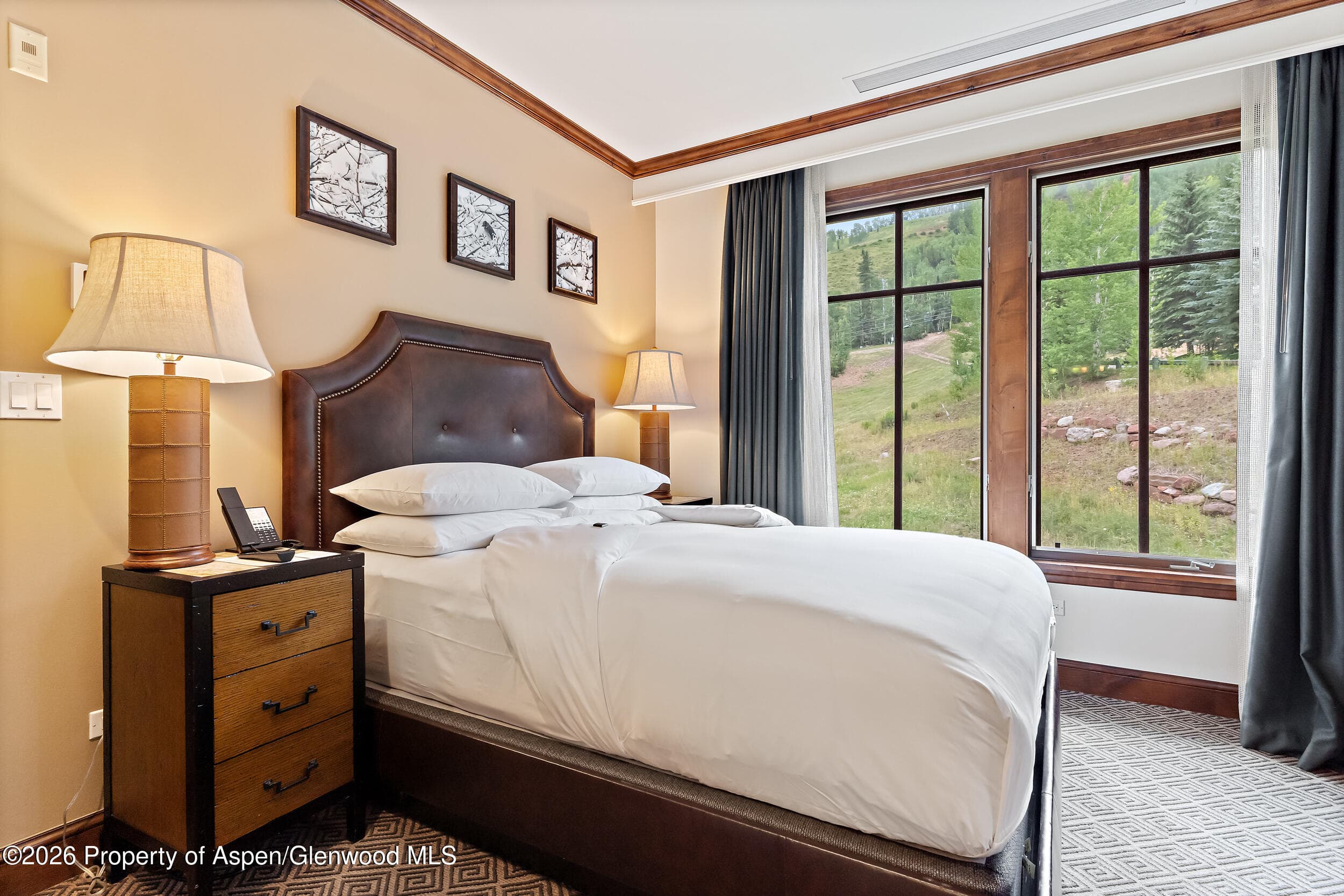 39 Boomerang Road 8210/Winter Interest 3, Aspen, CO 81611 - Photo 13