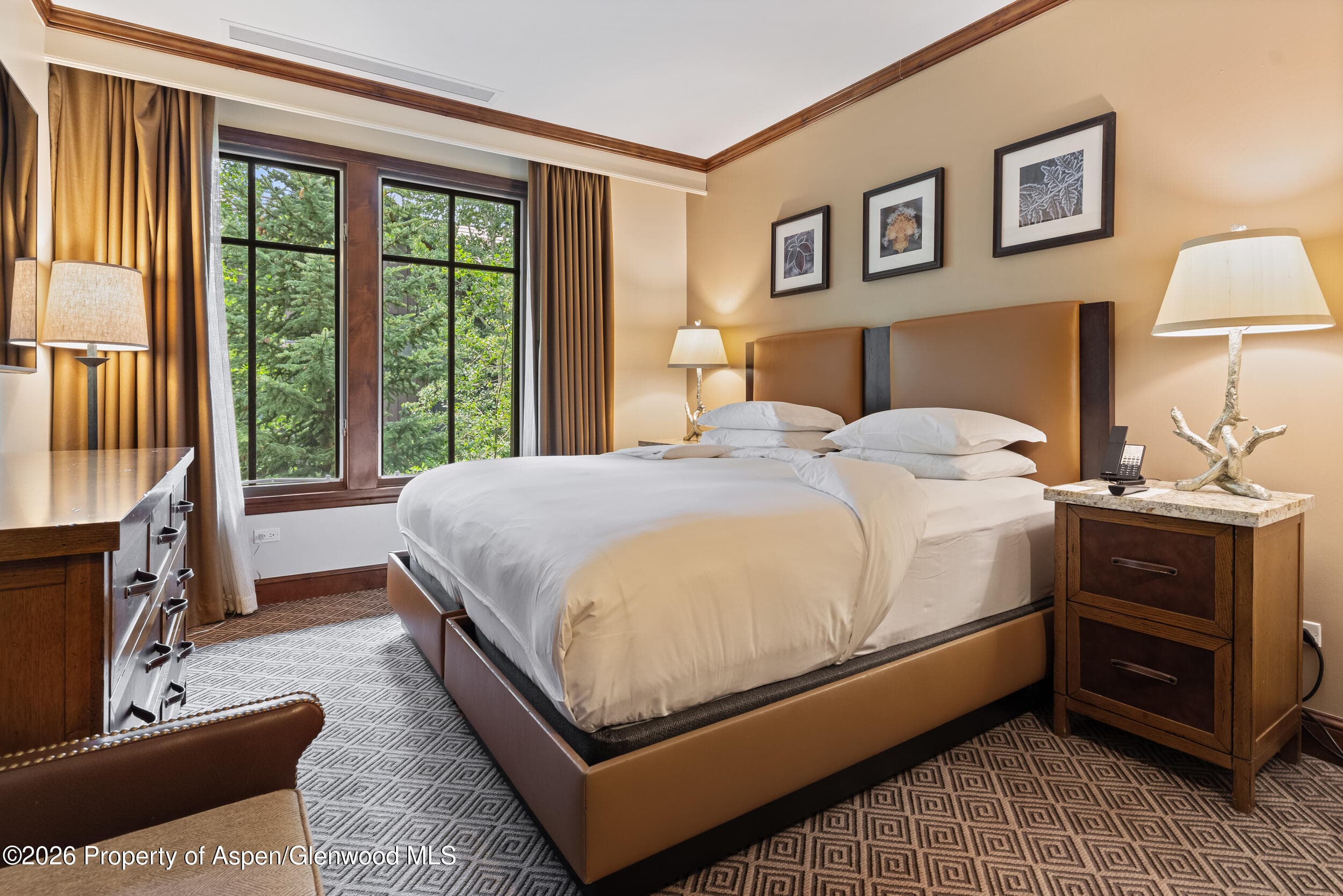 39 Boomerang Road 8210/Winter Interest 3, Aspen, CO 81611 - Photo 16