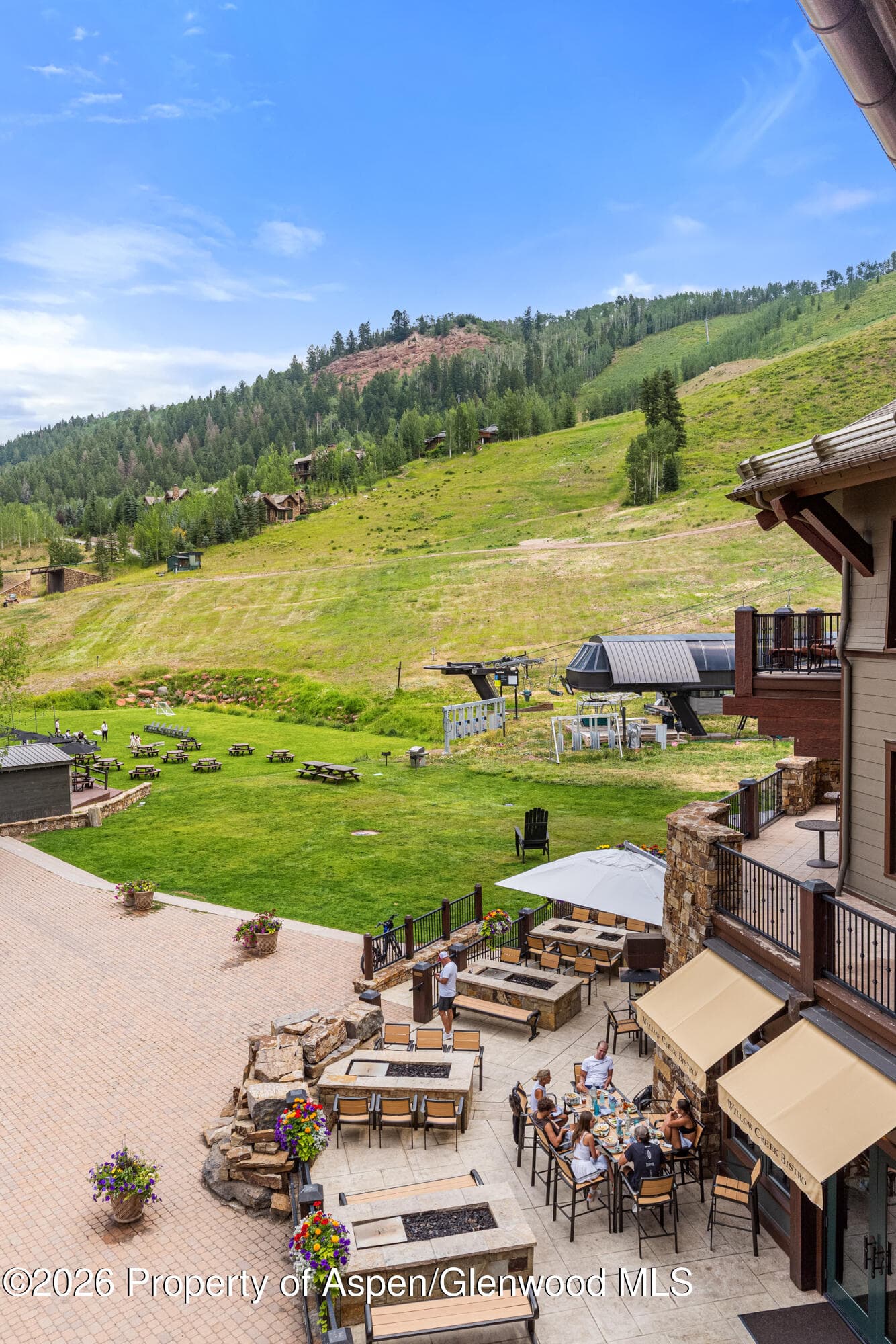 39 Boomerang Road 8210/Winter Interest 3, Aspen, CO 81611 - Photo 25